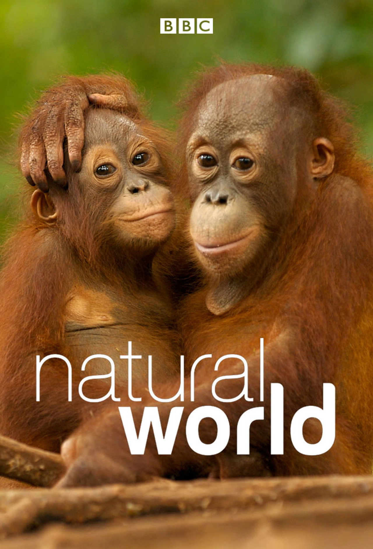 Pôster de Natural World