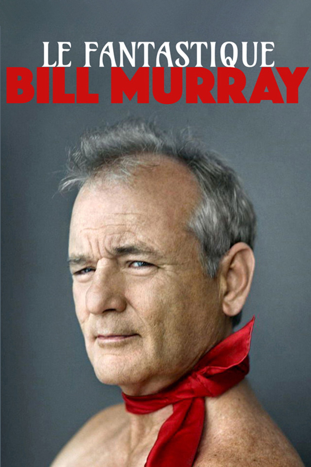 Pôster de Fantastic Mr. Murray
