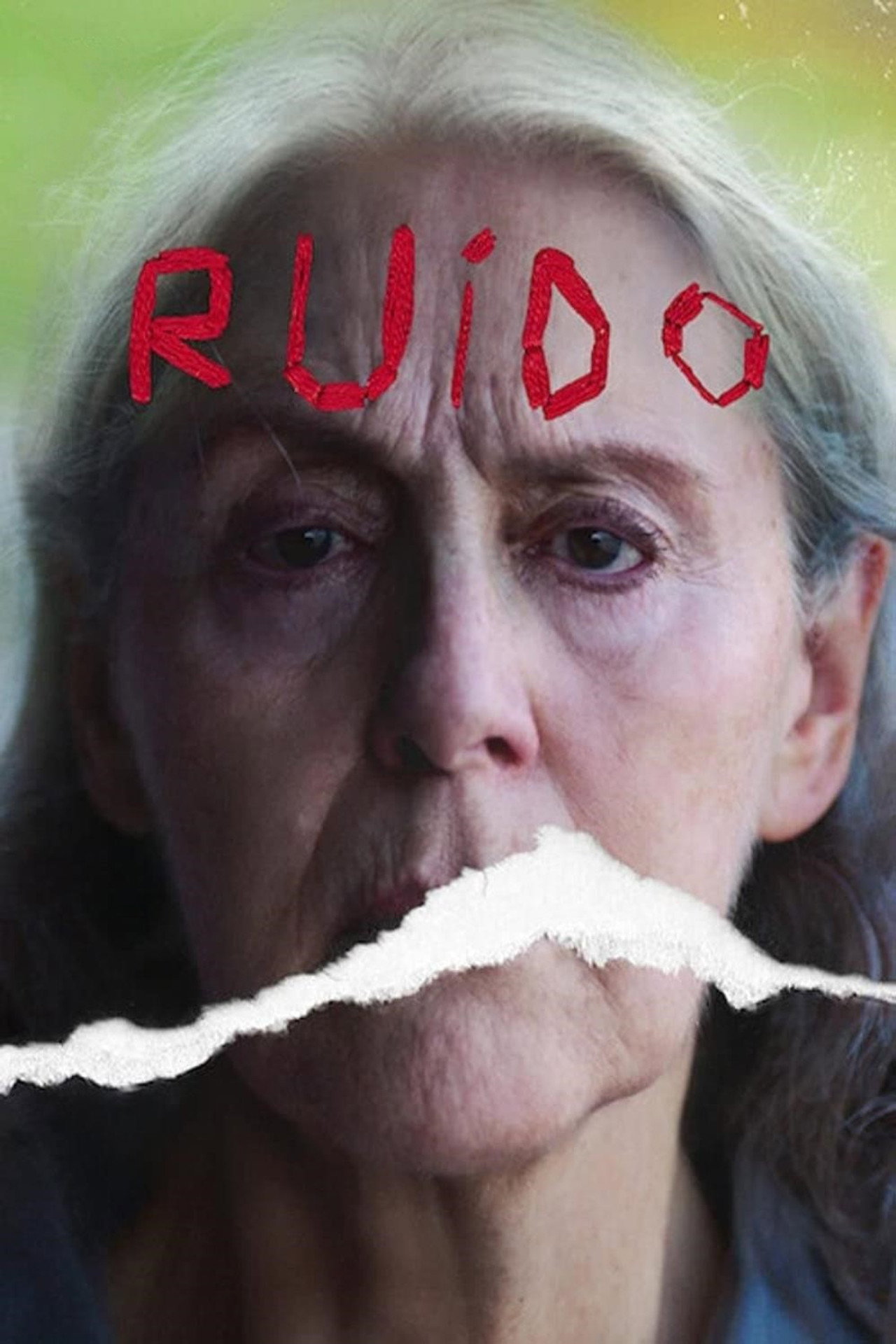 Pôster de Ruído