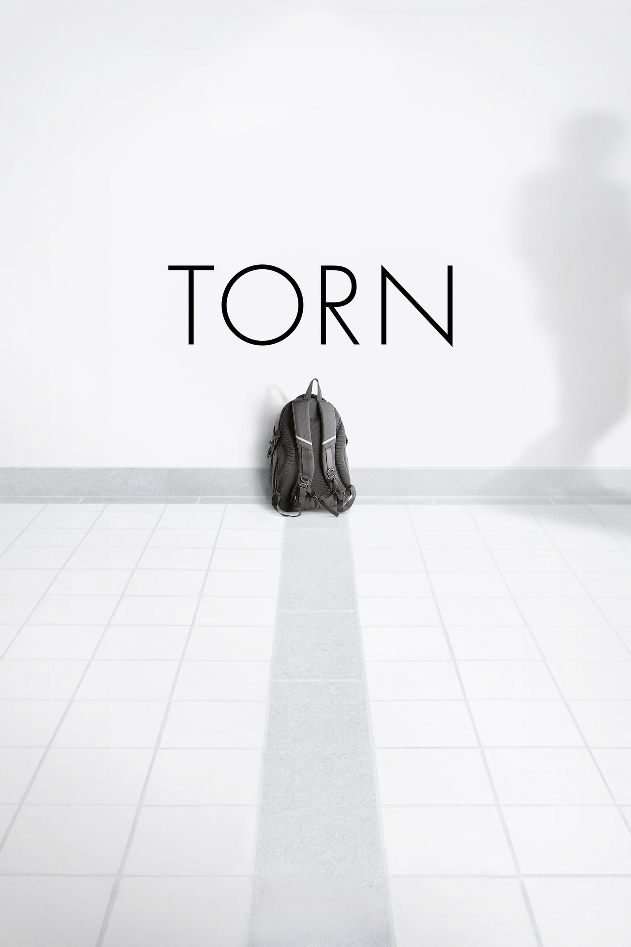 Pôster de Torn