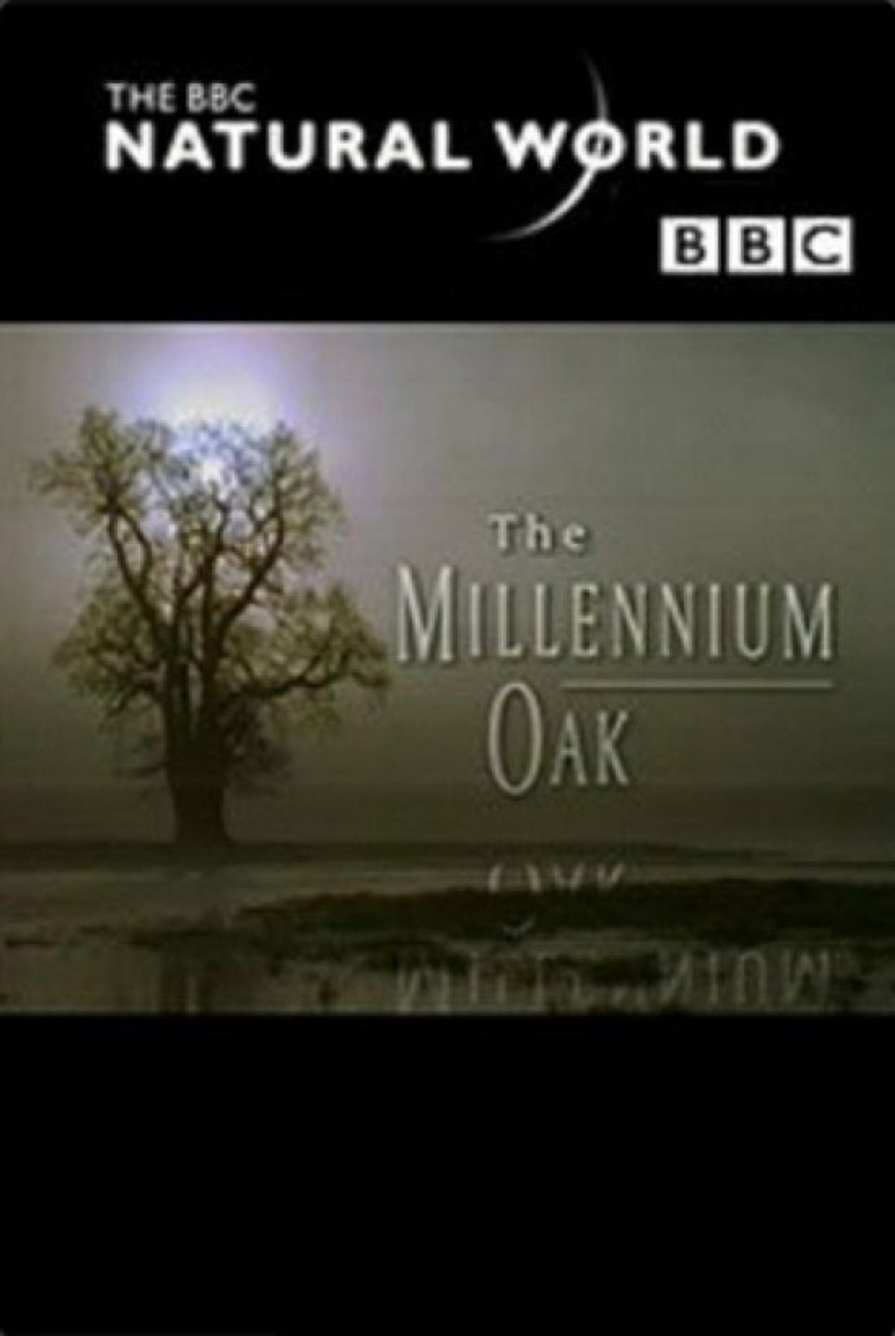 Pôster de The Millennium Oak