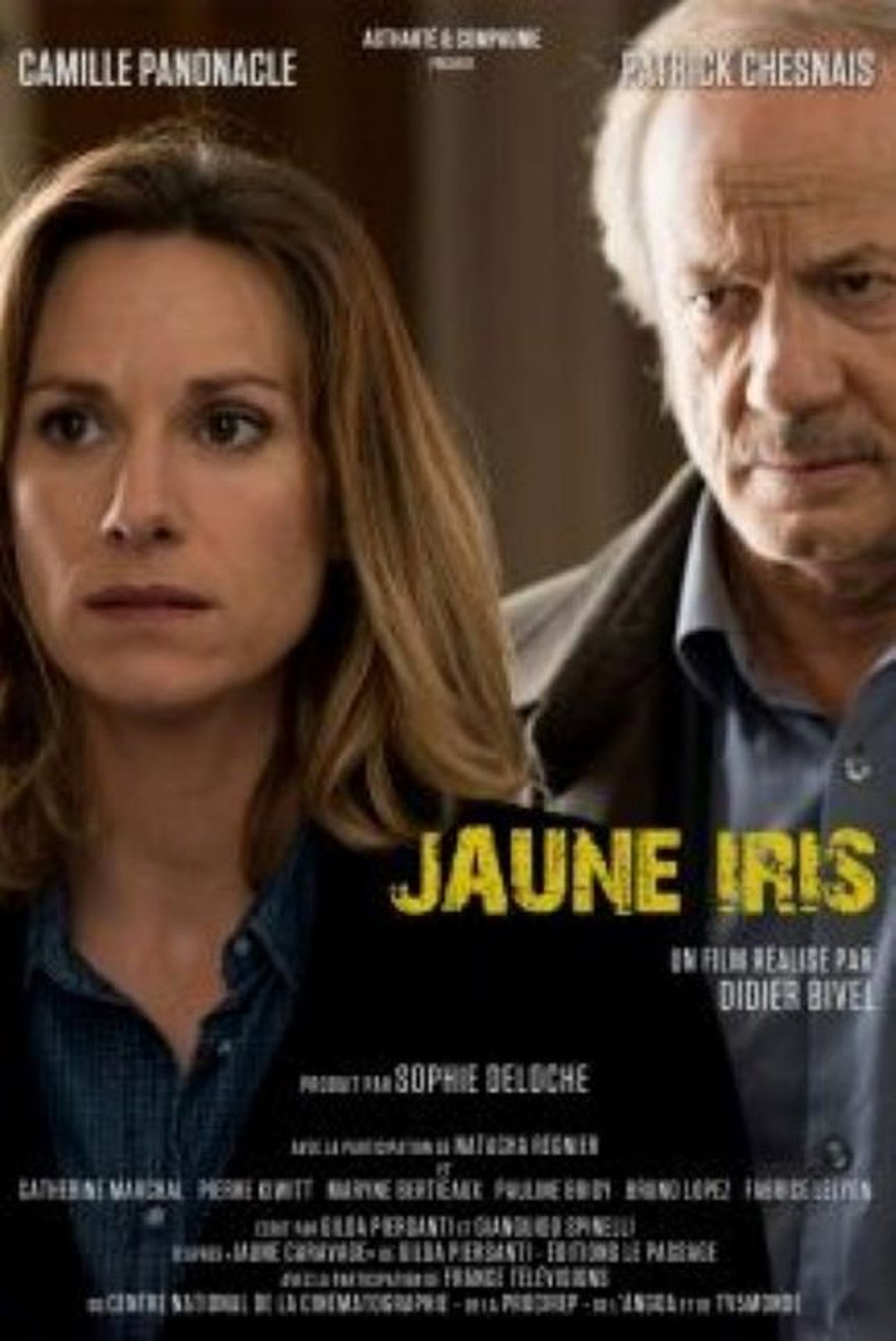 Pôster de Jaune Iris