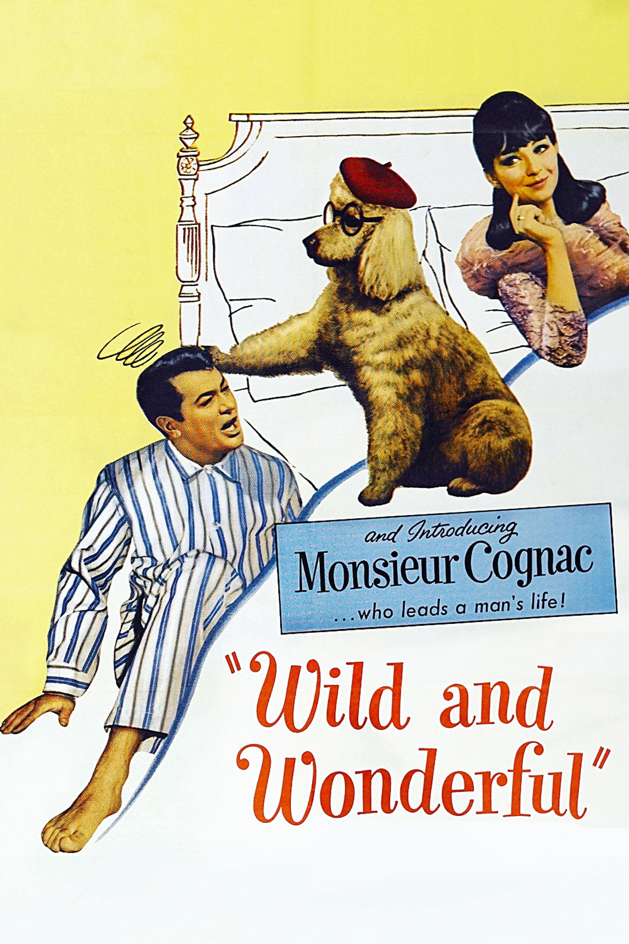 Pôster de Wild and Wonderful