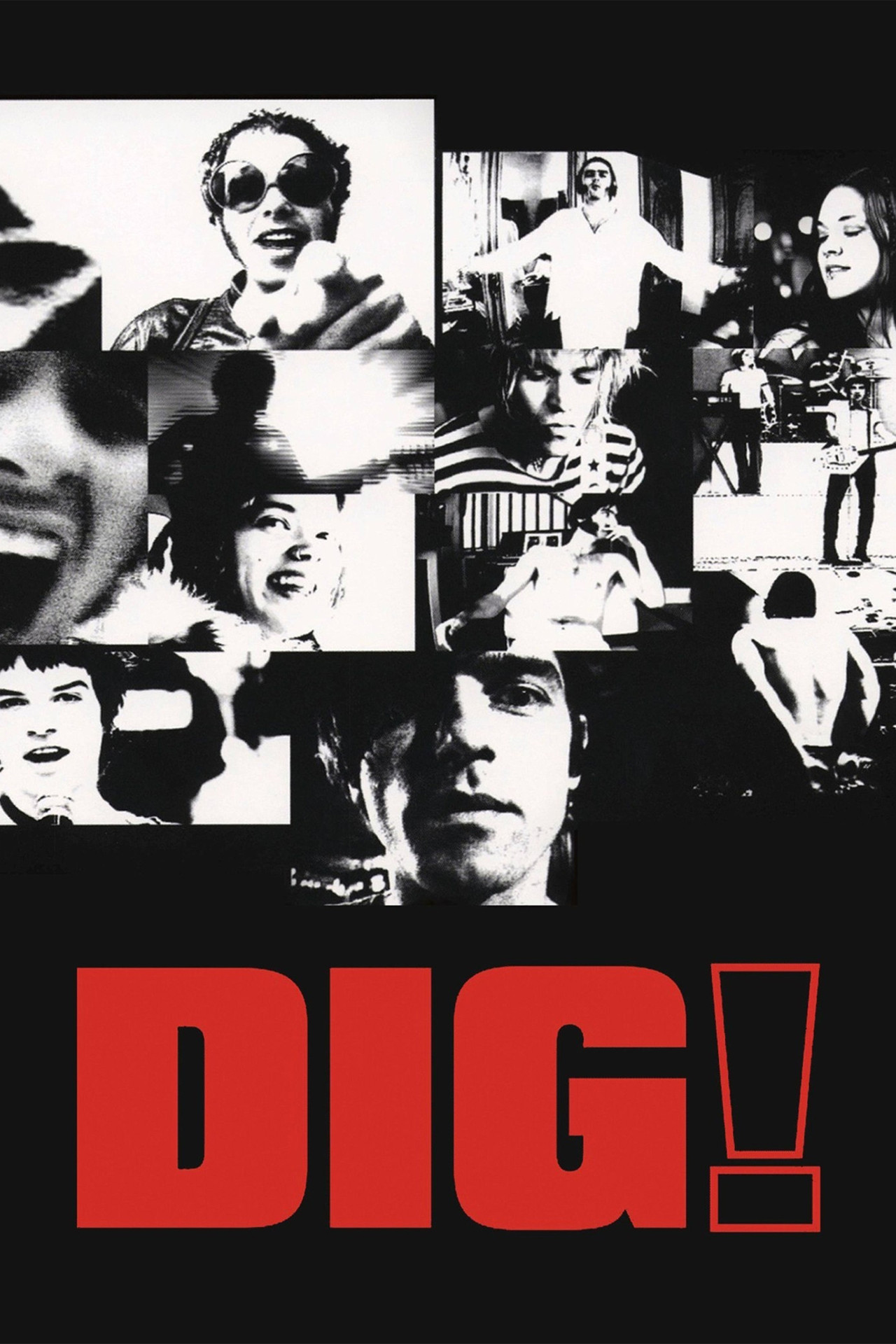 Pôster de Dig!