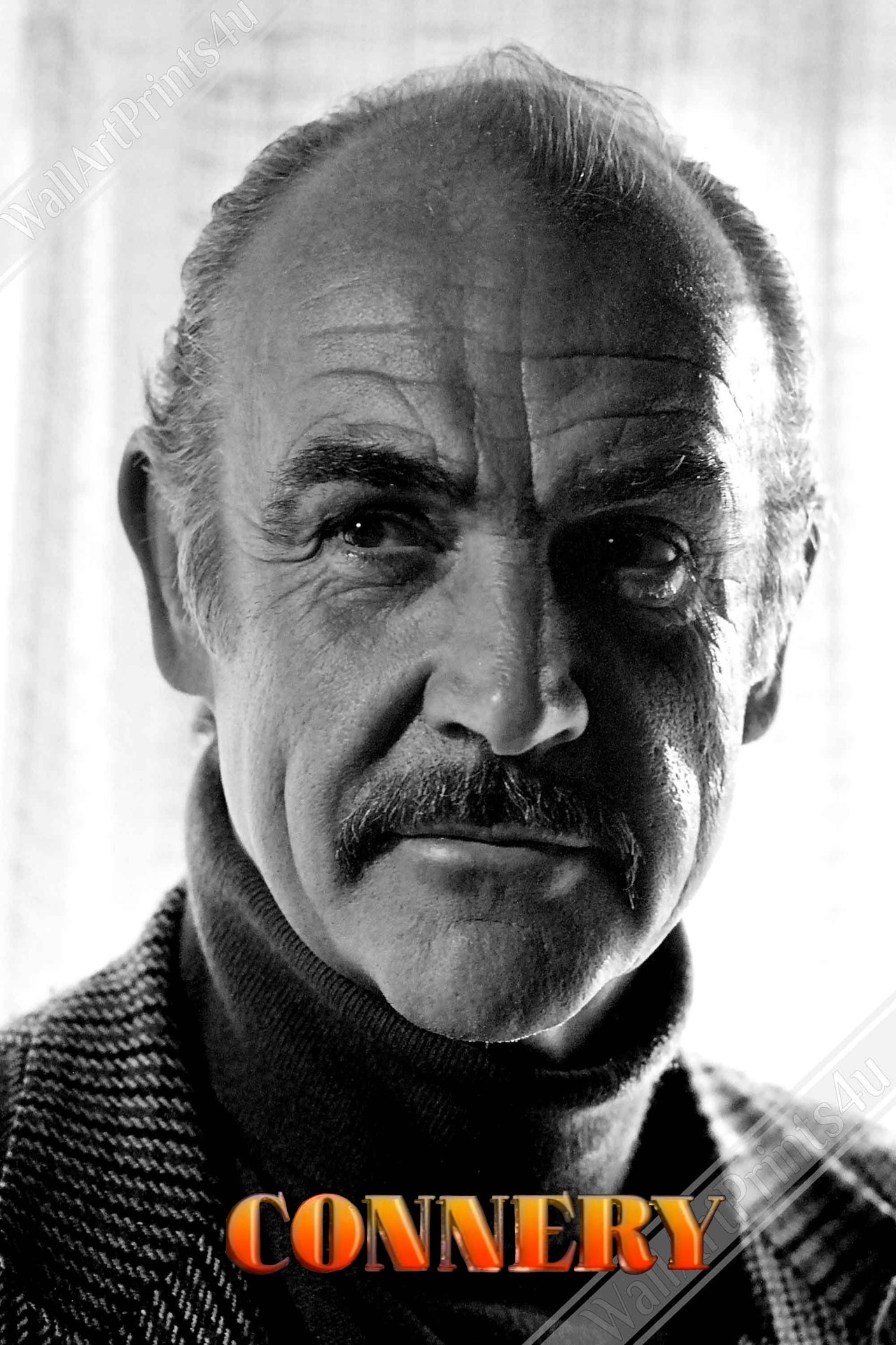 Pôster de Sean Connery Documentary