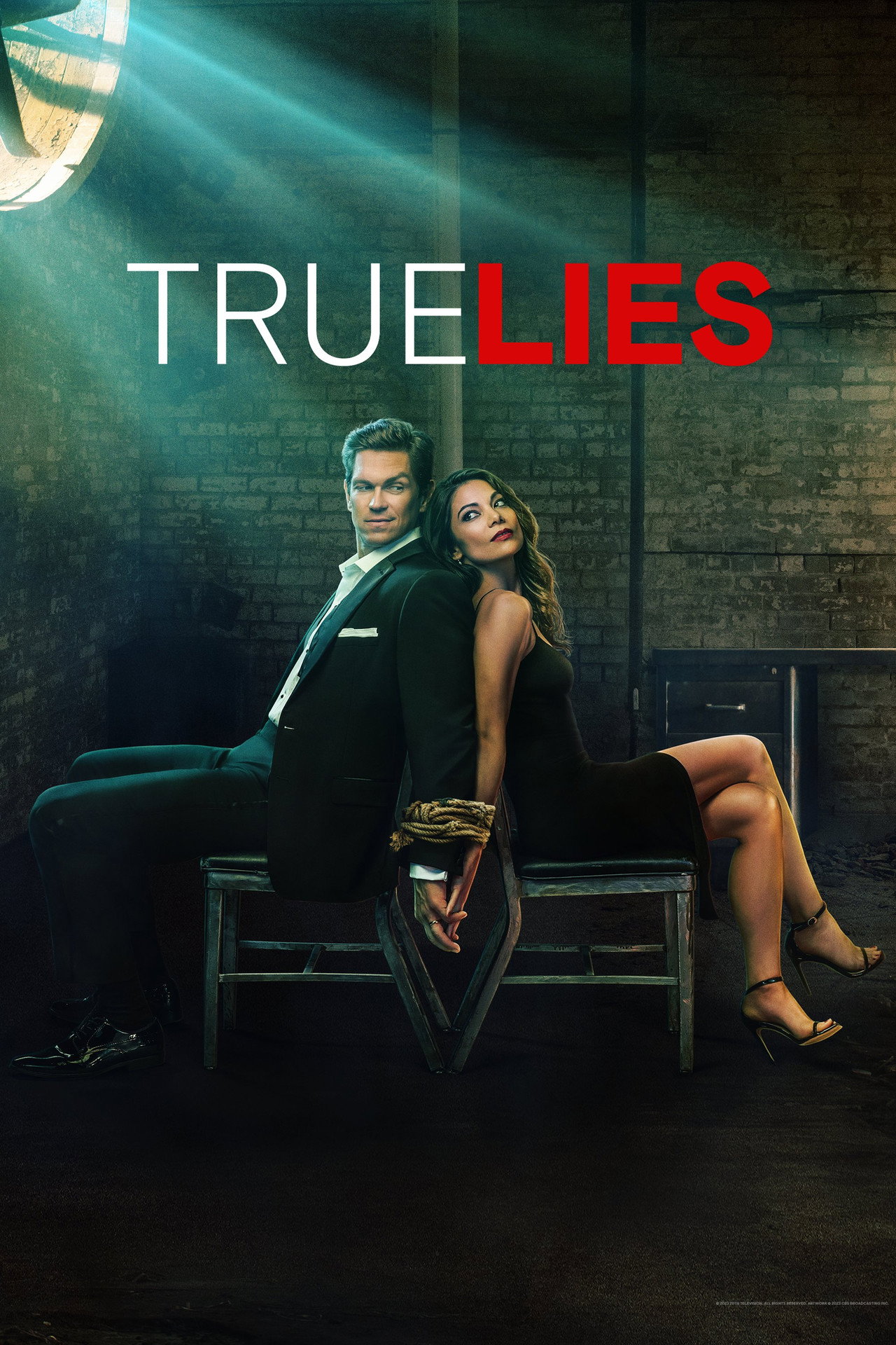 Pôster de True Lies