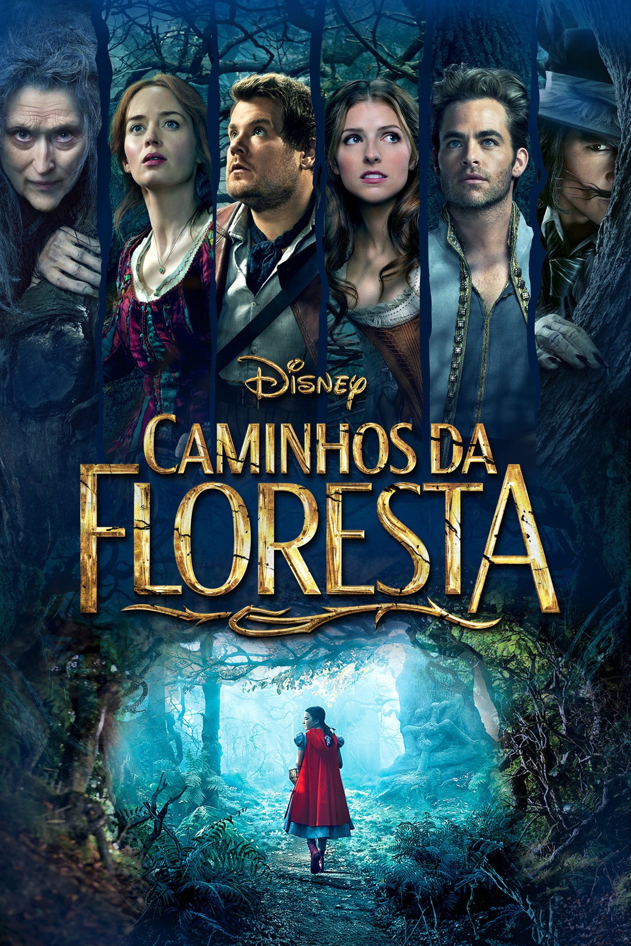 Pôster de Caminhos da Floresta