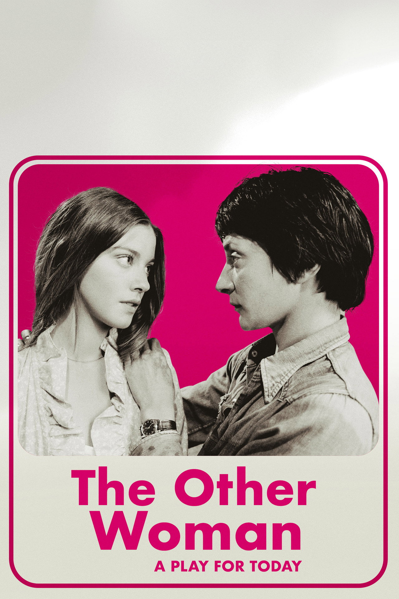 Pôster de The Other Woman