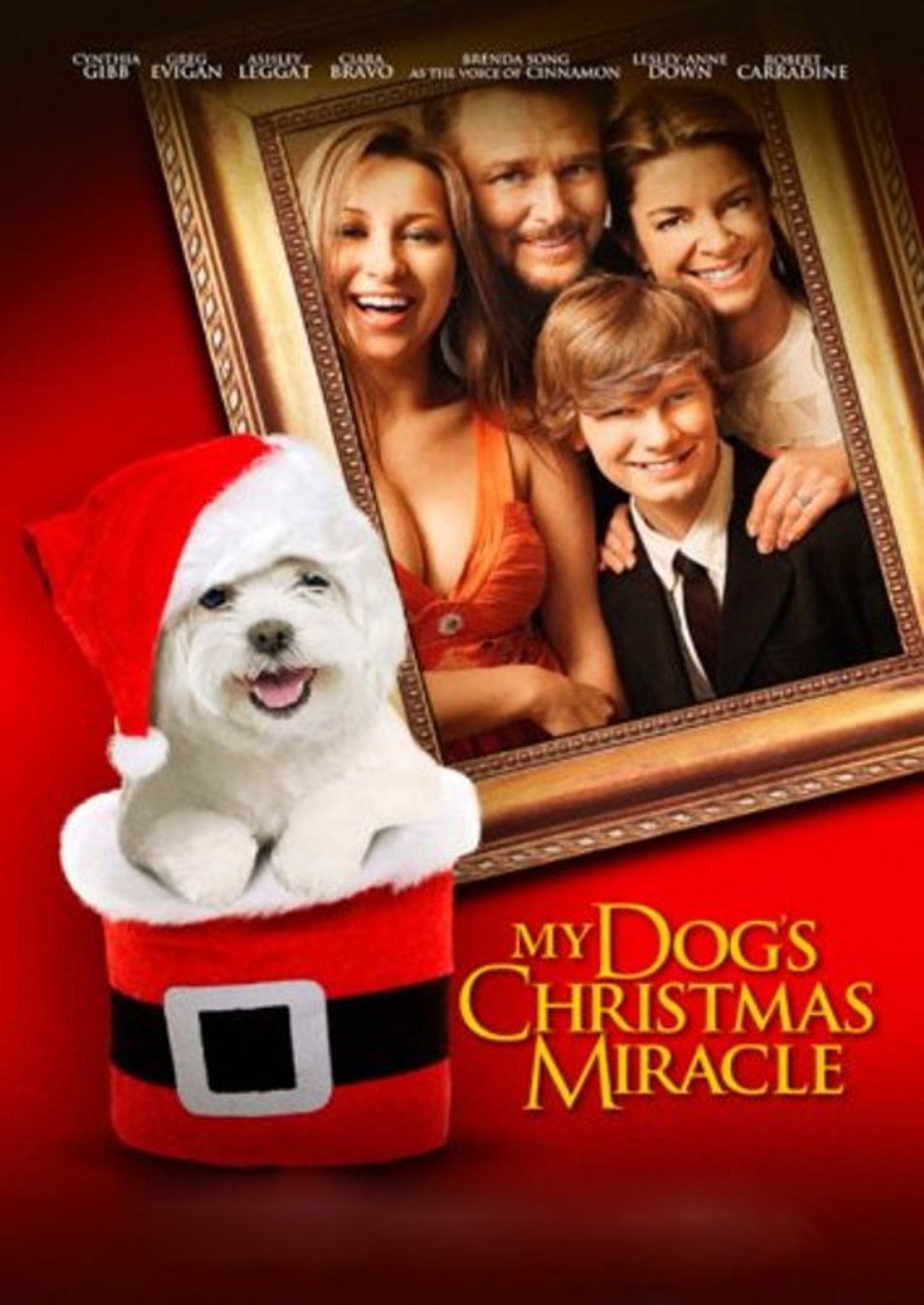 Pôster de My Dog's Christmas Miracle