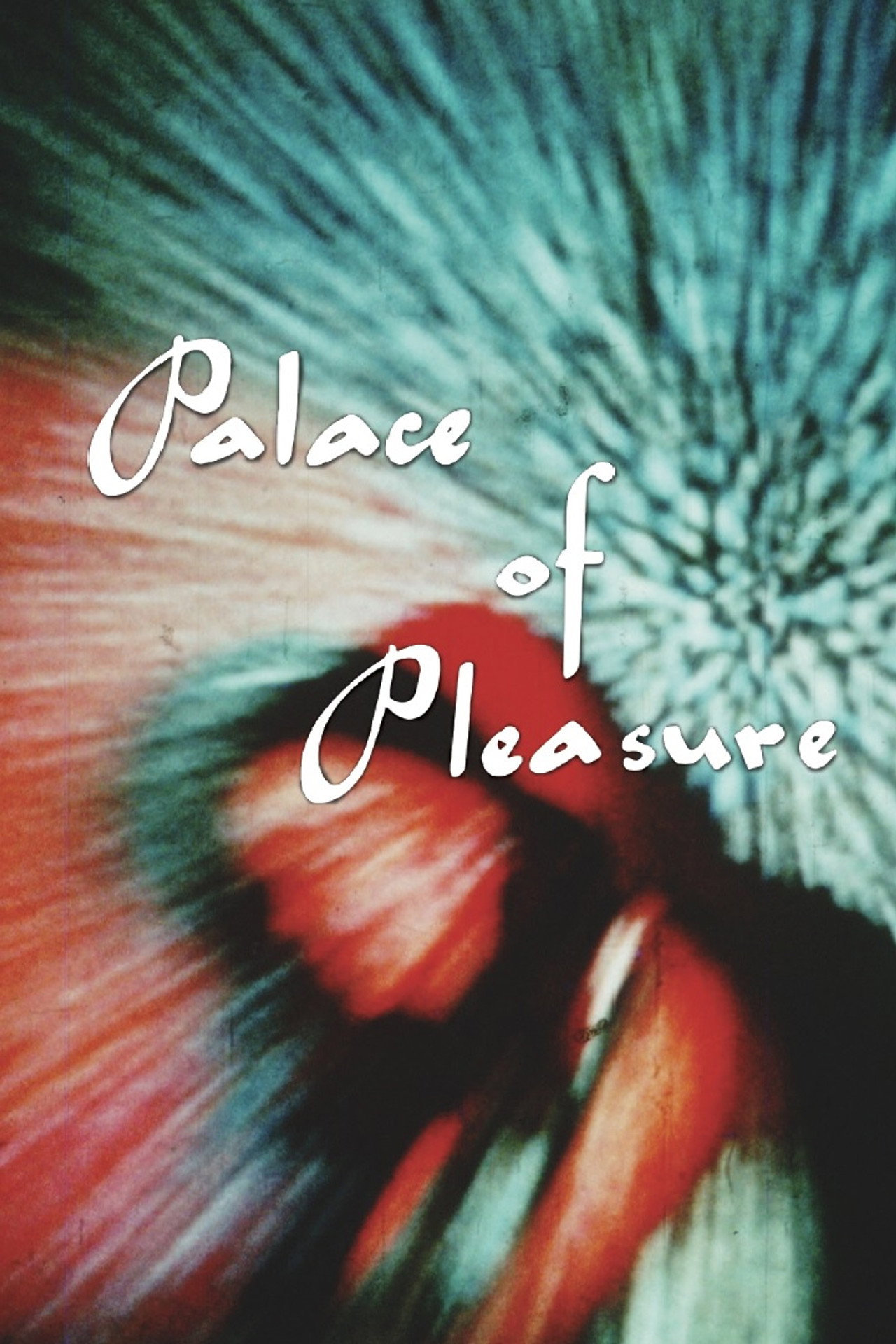Pôster de Palace of Pleasure