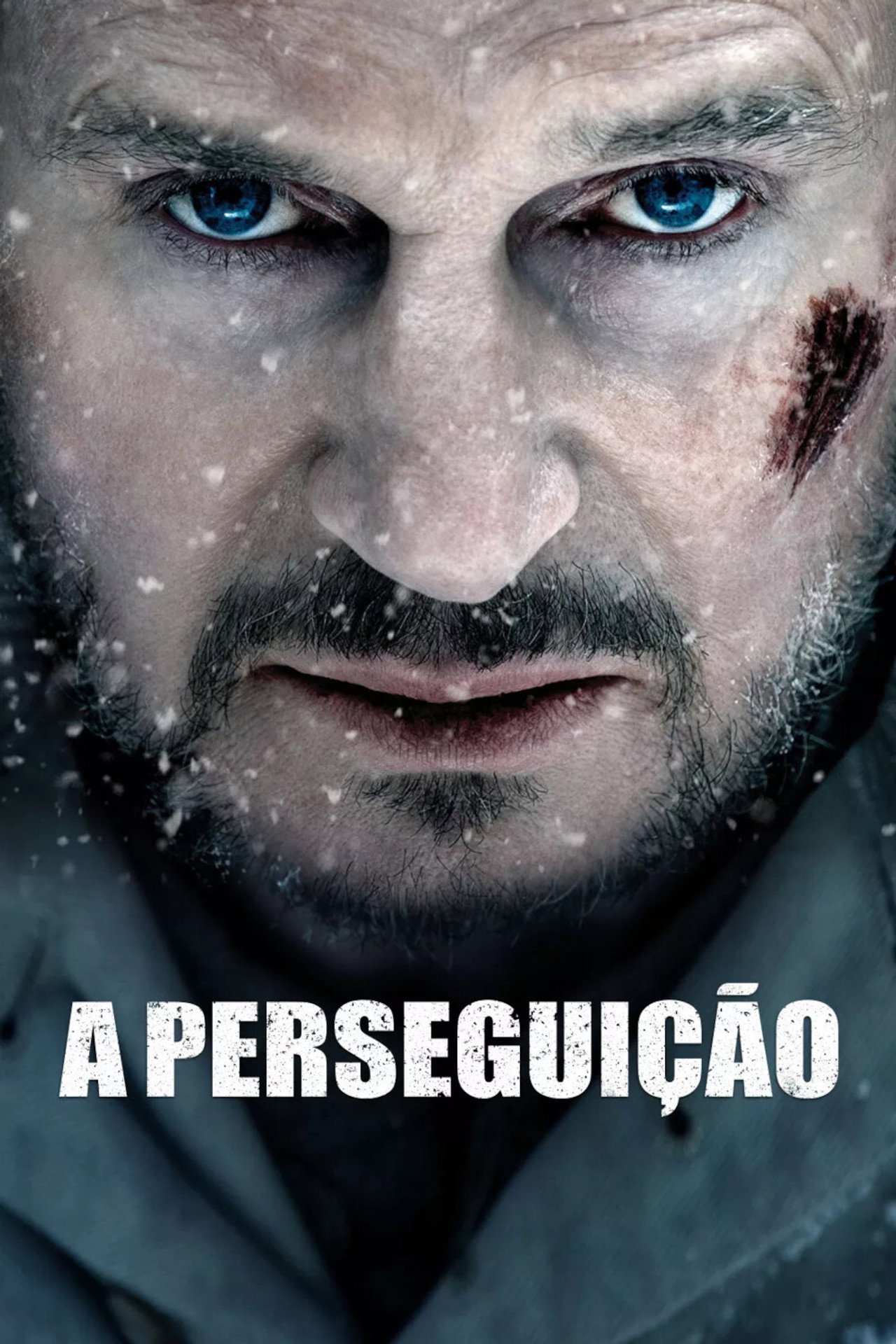 Pôster de A Perseguição