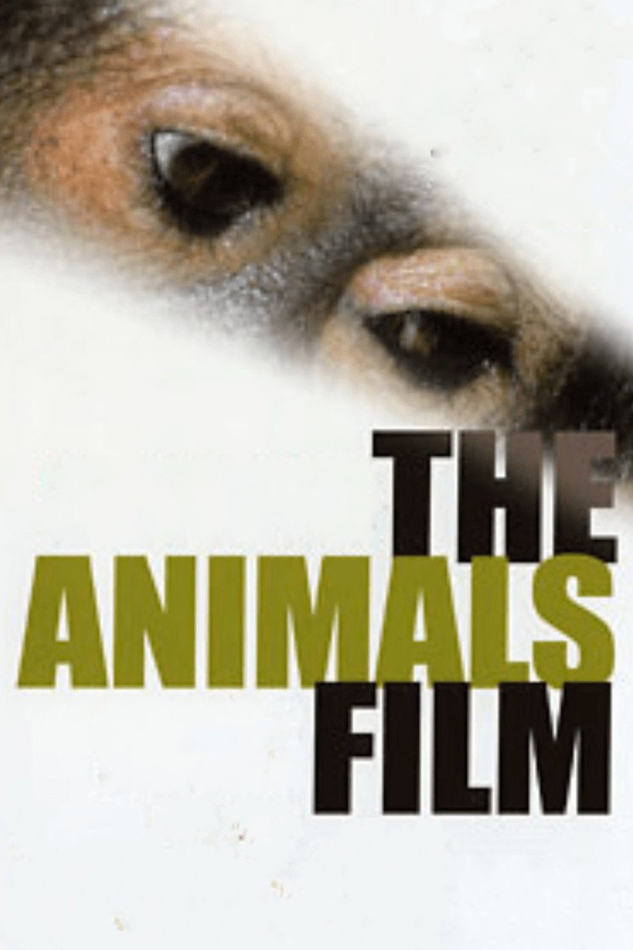 Pôster de The Animals Film