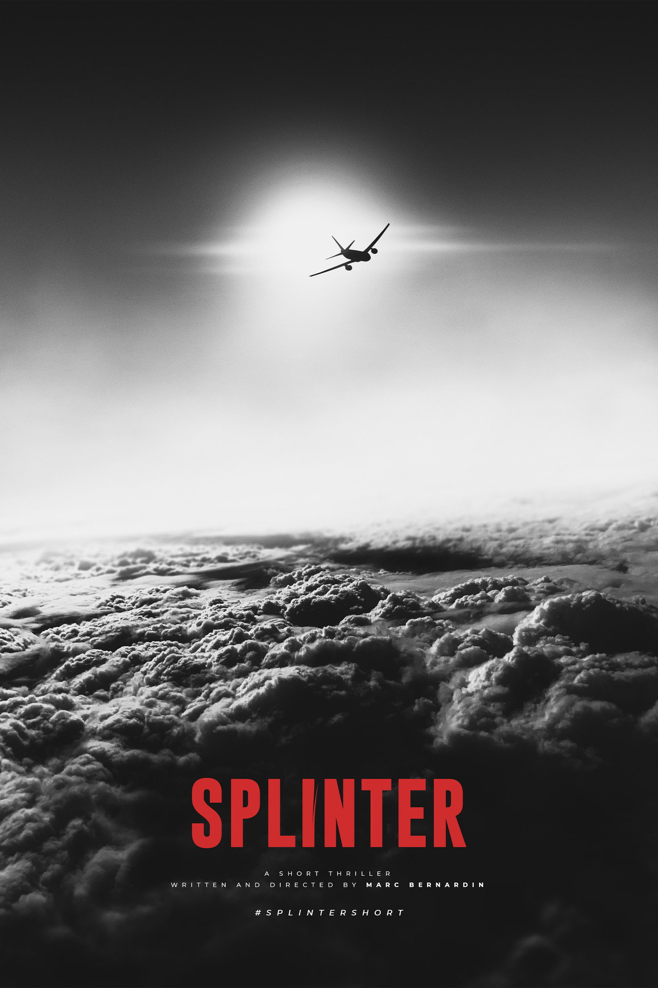 Pôster de Splinter