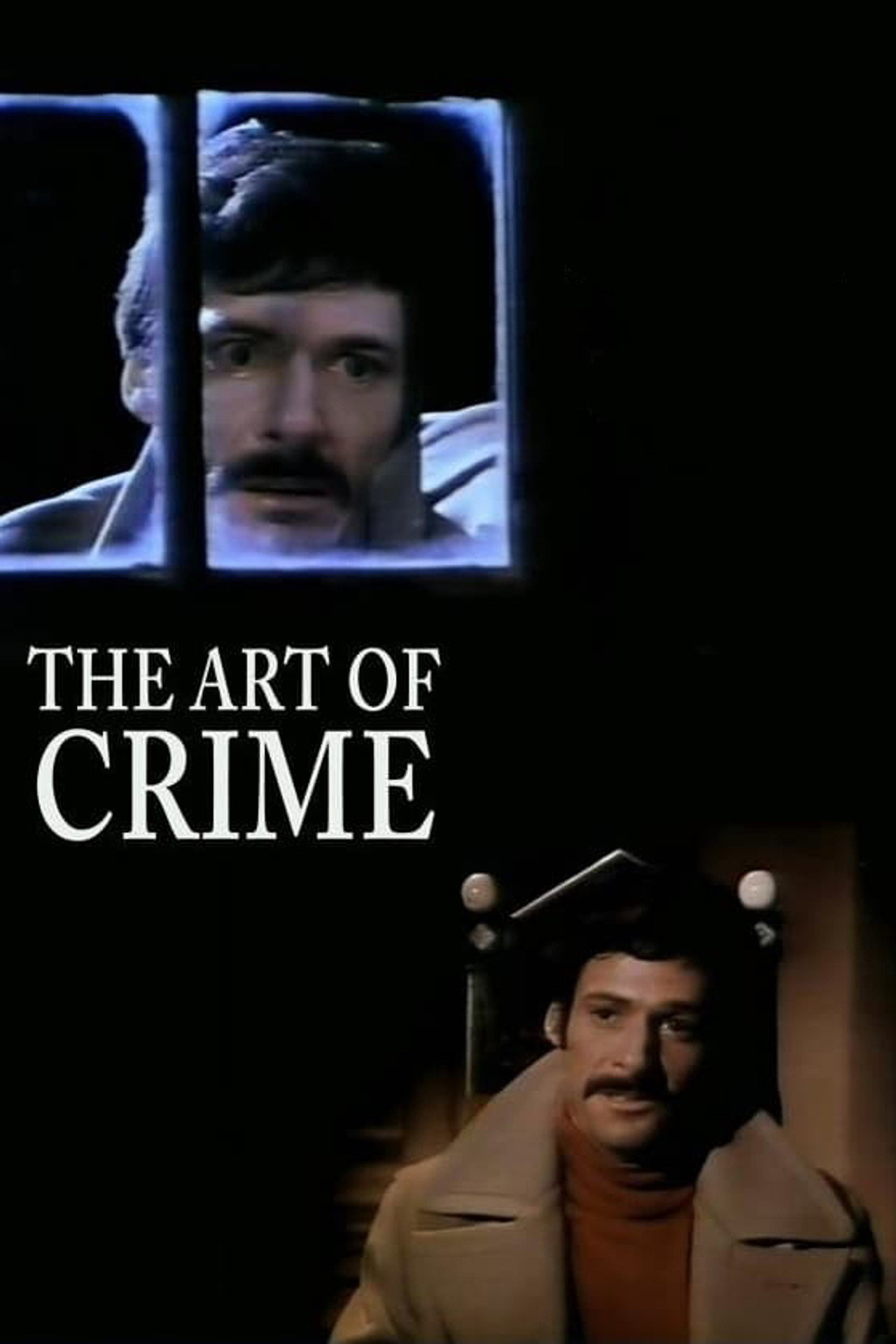 Pôster de The Art of Crime