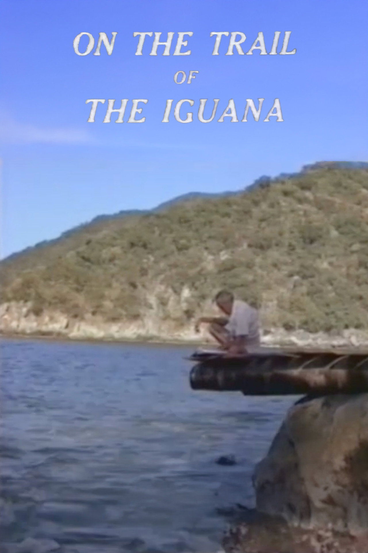 Pôster de On the Trail of the Iguana