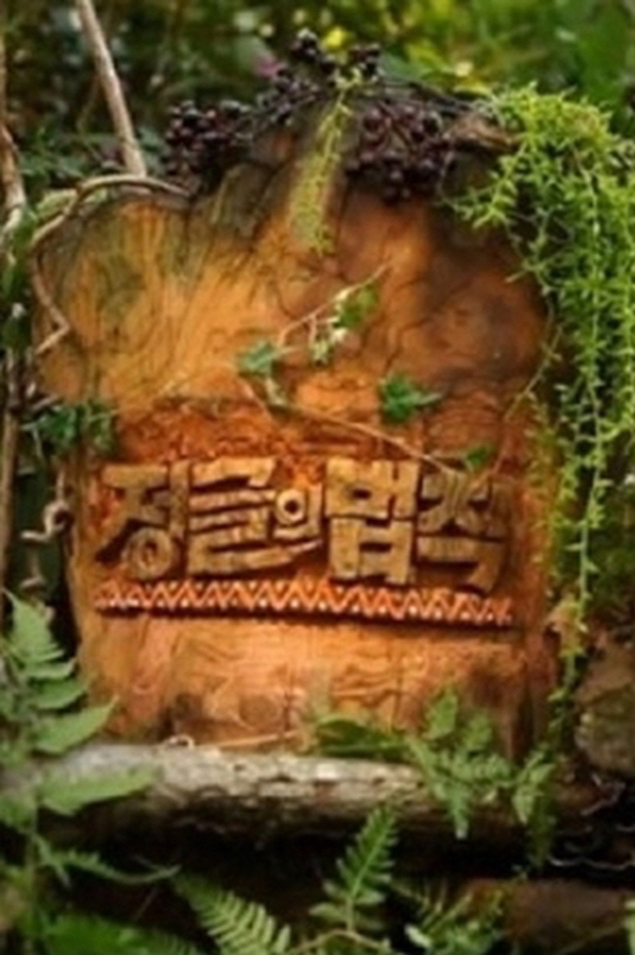 Pôster de Law of the Jungle