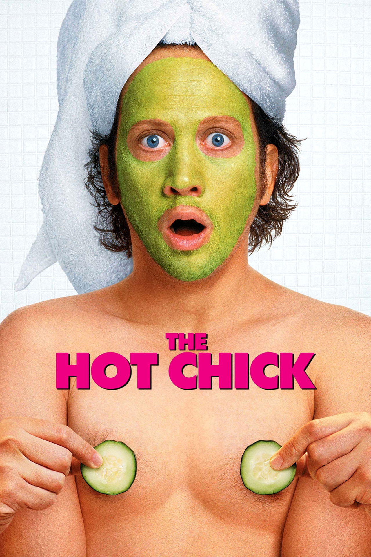 Pôster de The Hot Chick