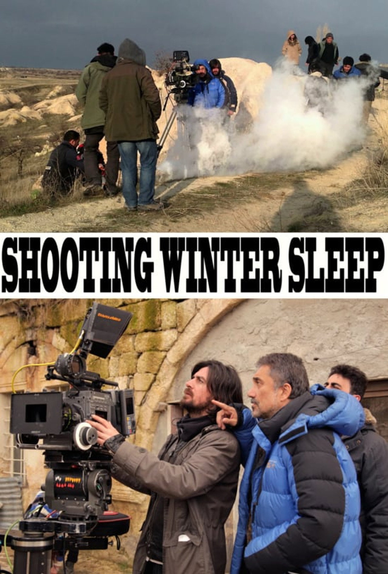 Pôster de A Long Cold Winter