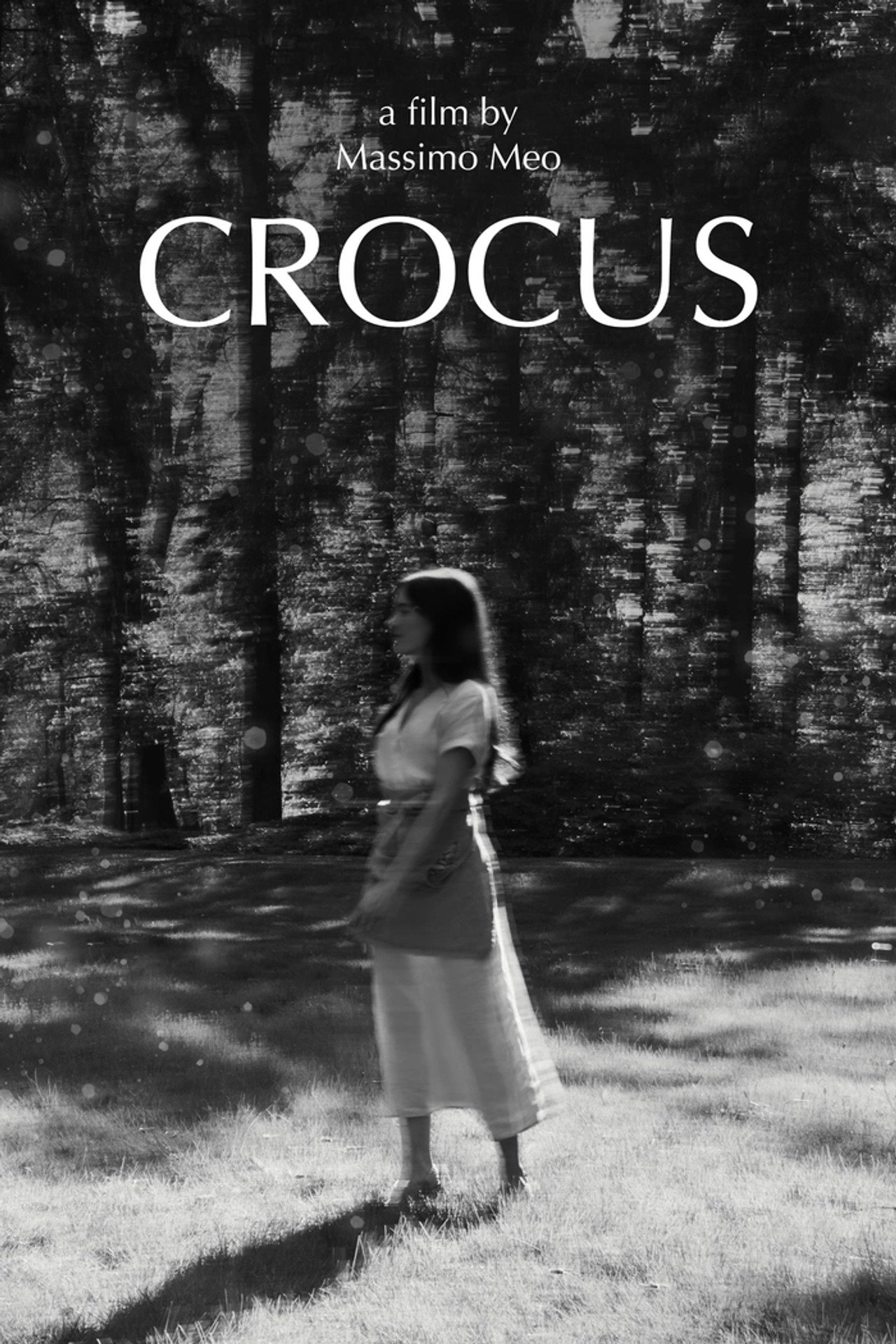 Pôster de Crocus