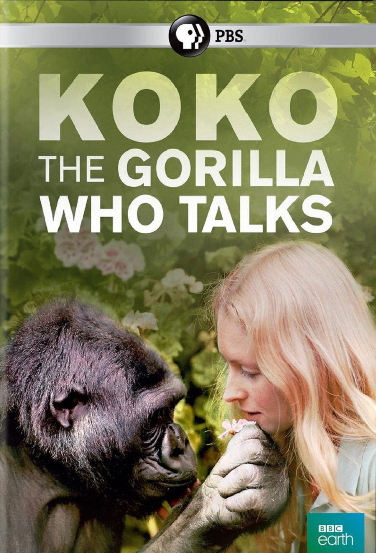 Pôster de Koko: The Gorilla Who Talks to People