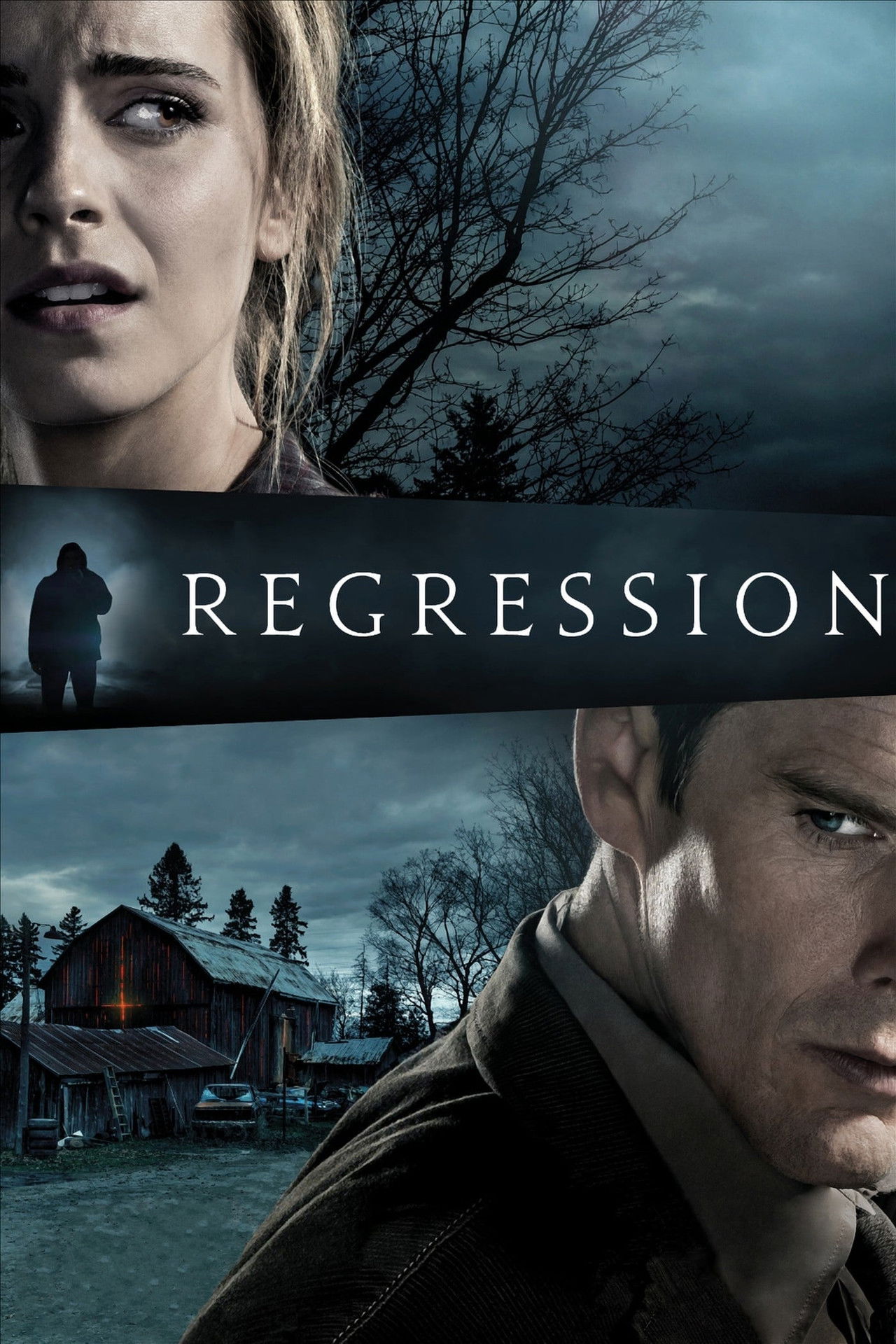 Pôster de Regression