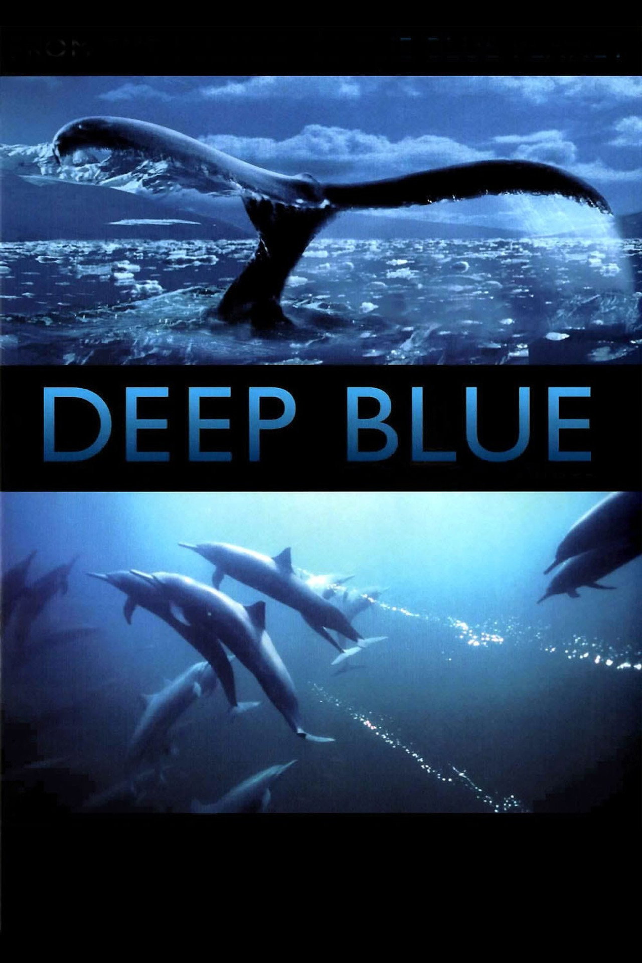 Pôster de Deep Blue