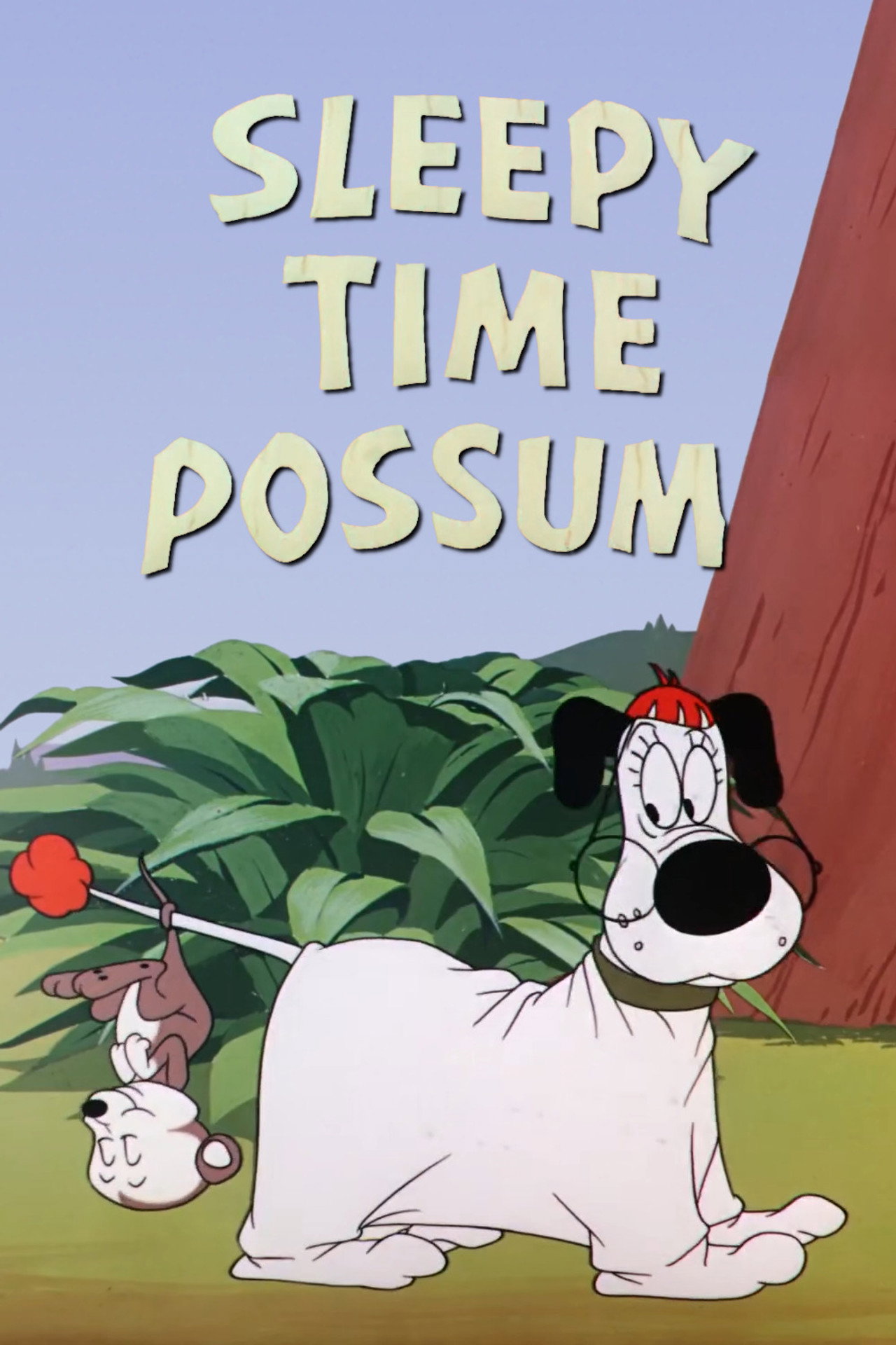 Pôster de Sleepy Time Possum