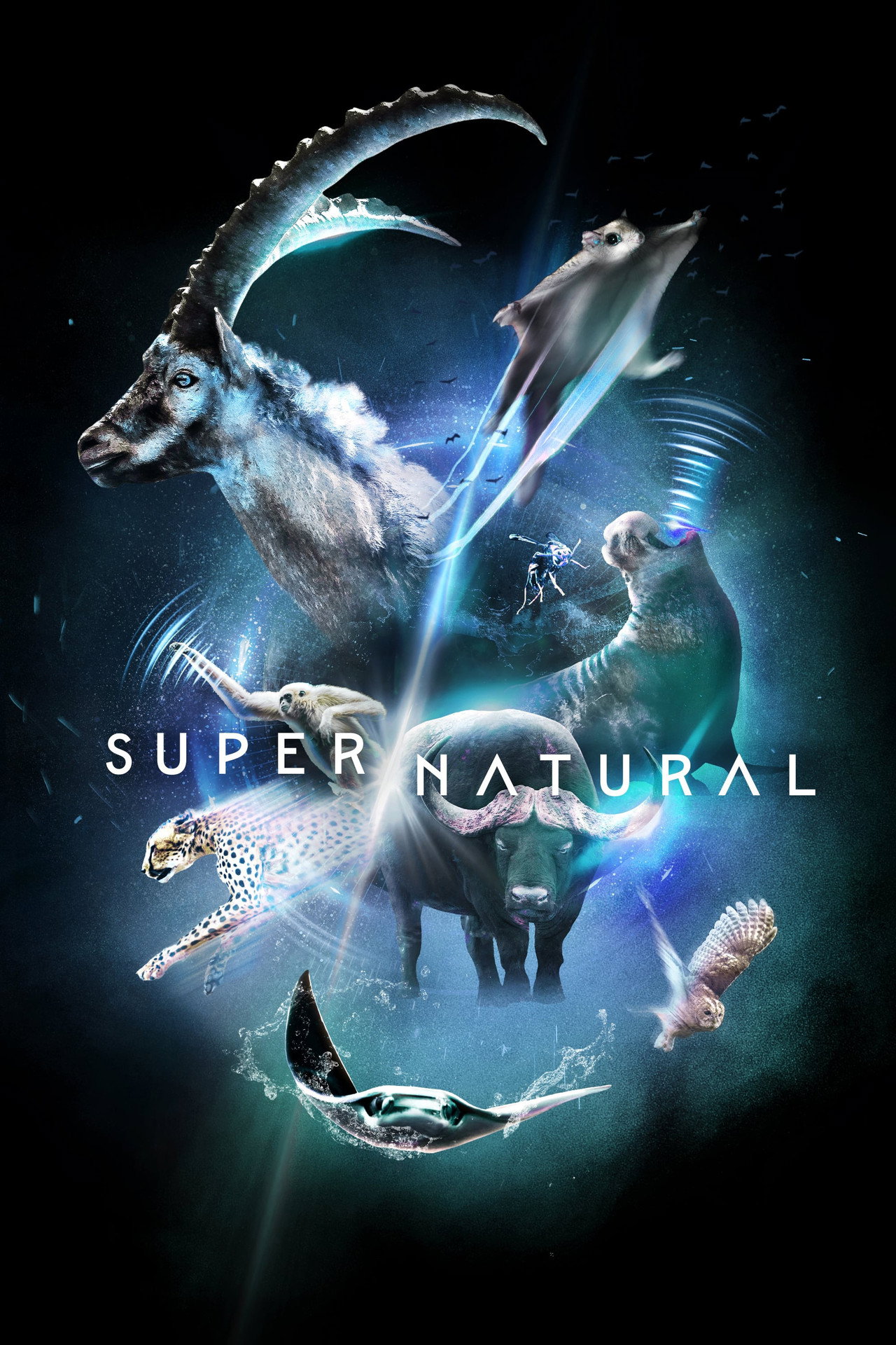 Pôster de Super/Natural