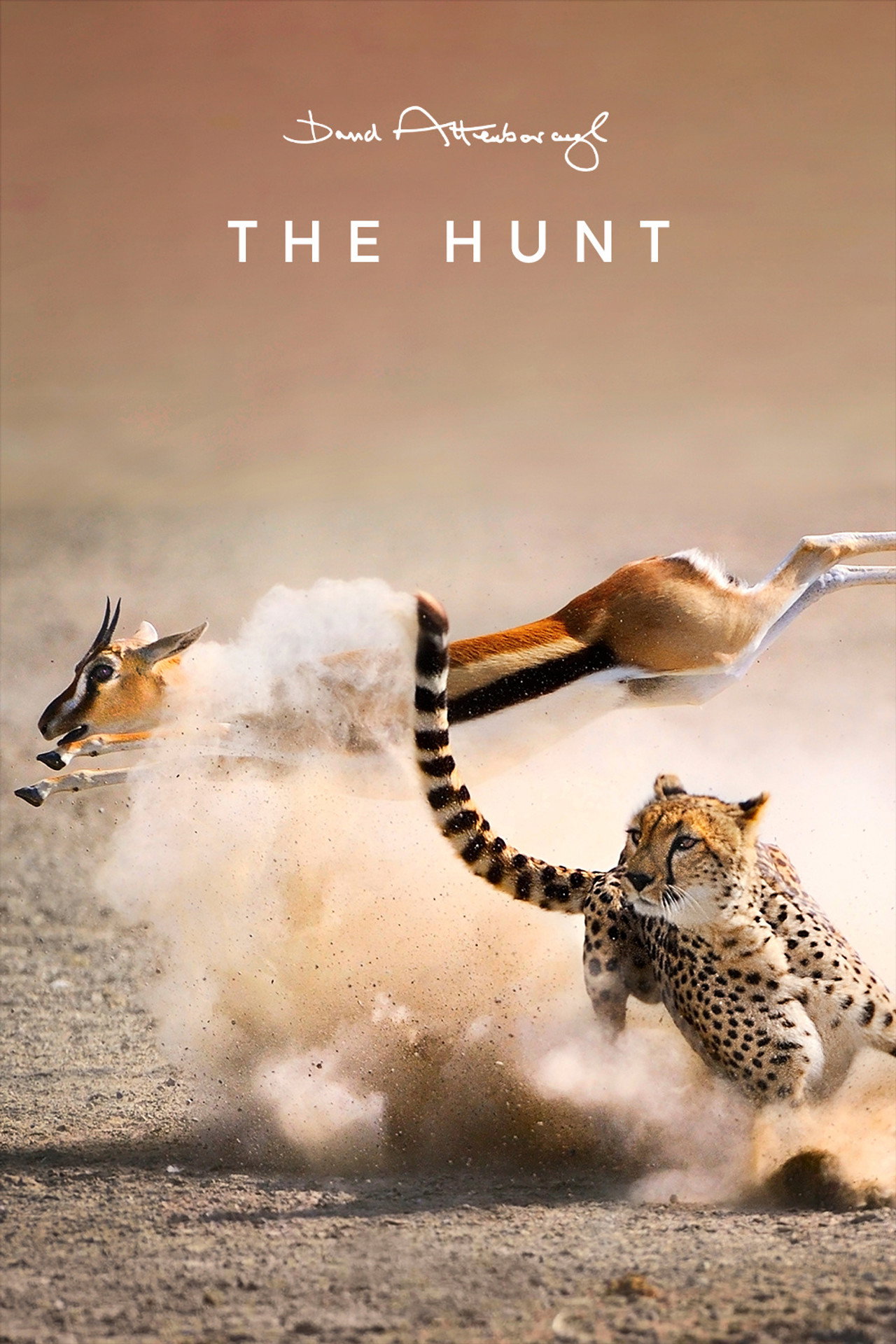 Pôster de The Hunt