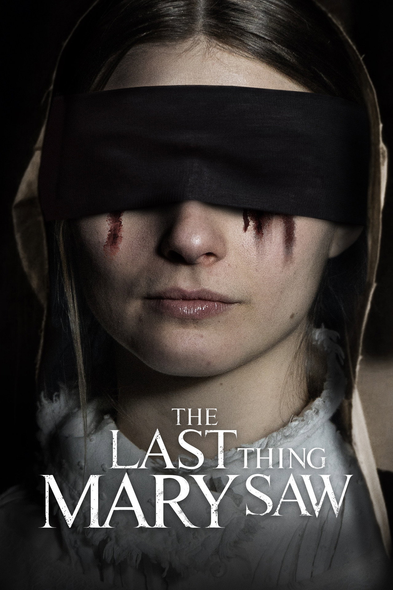 Pôster de The Last Thing Mary Saw
