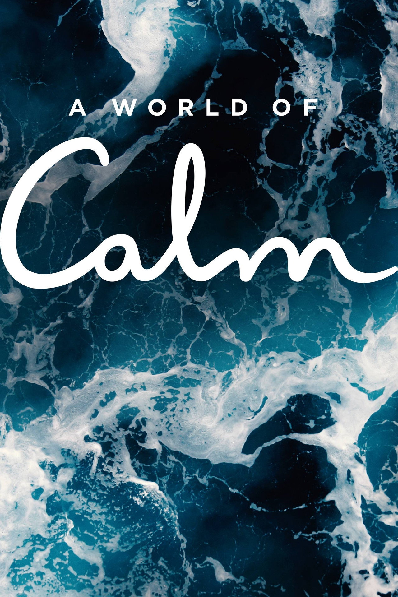 Pôster de A World of Calm