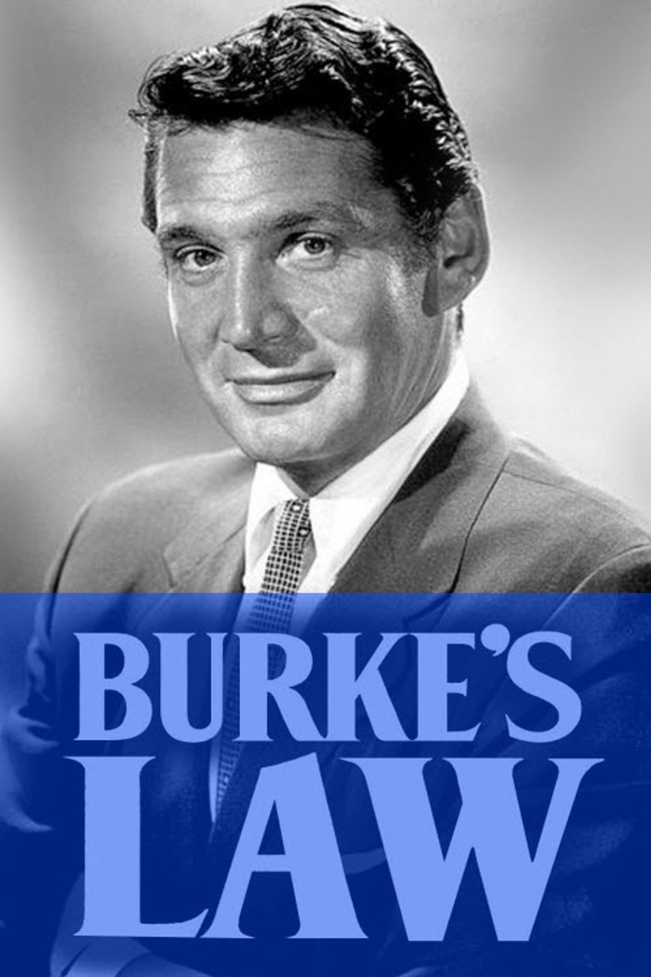 Pôster de Burke's Law