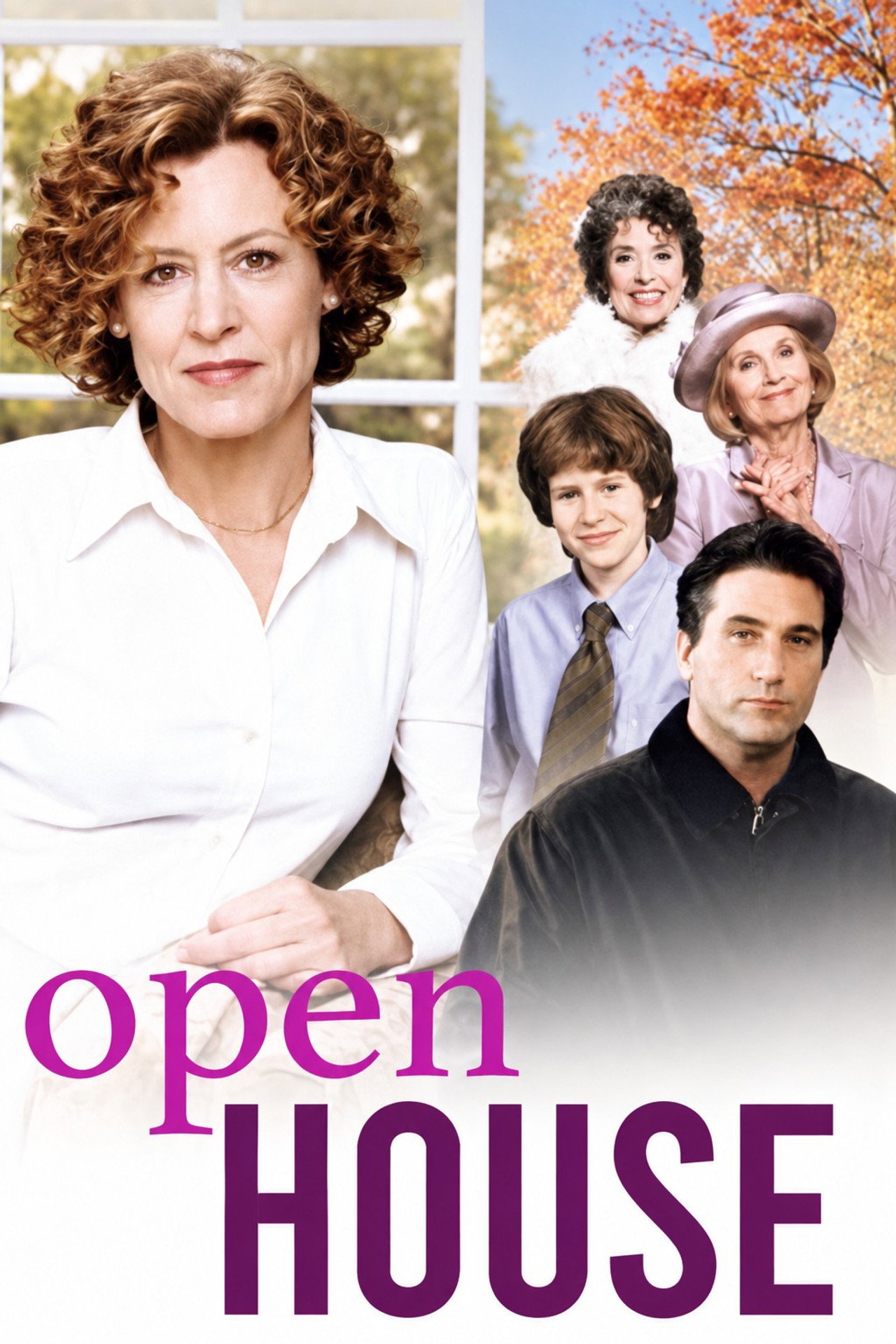 Pôster de Open House