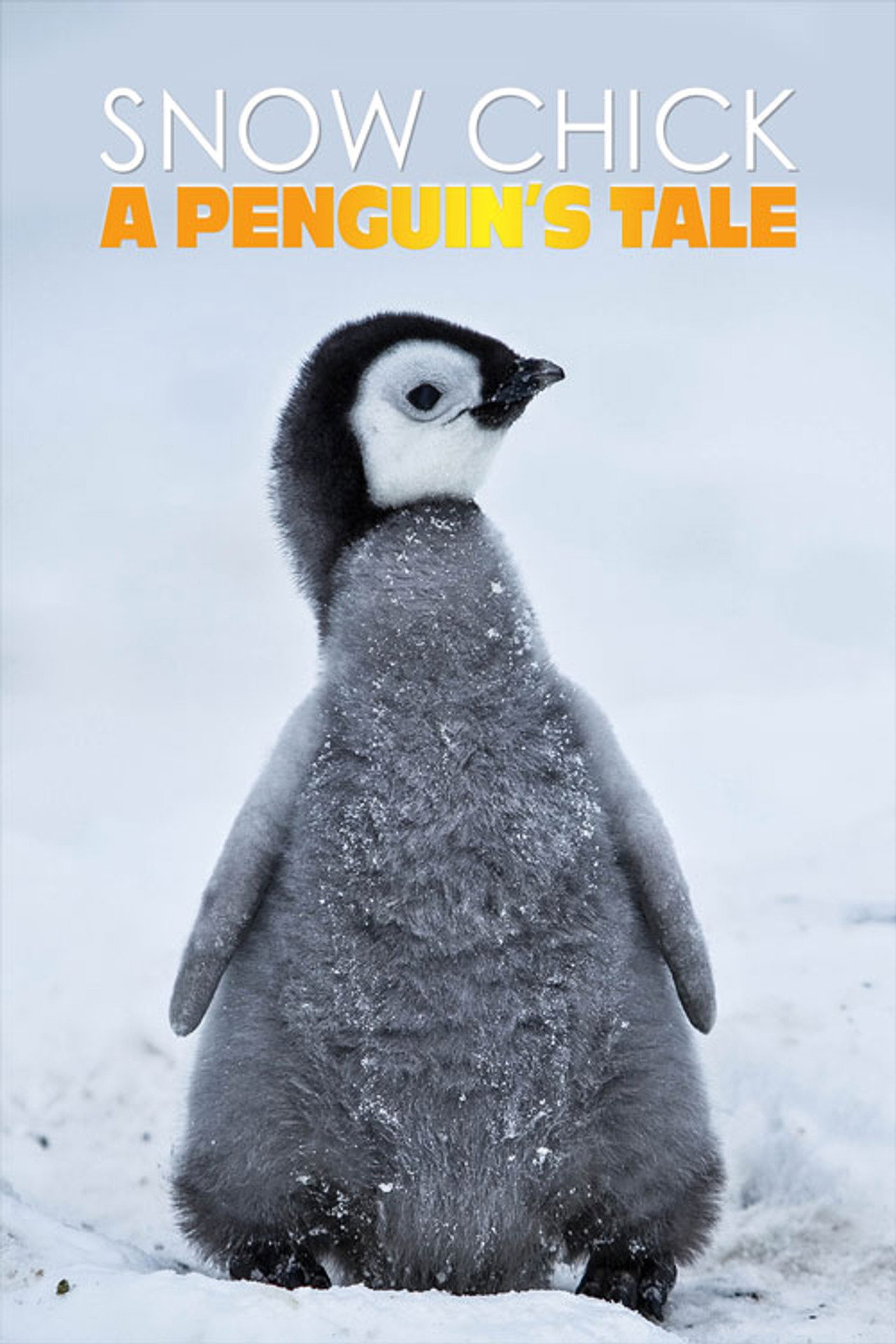 Pôster de Snow Chick - A Penguin's Tale