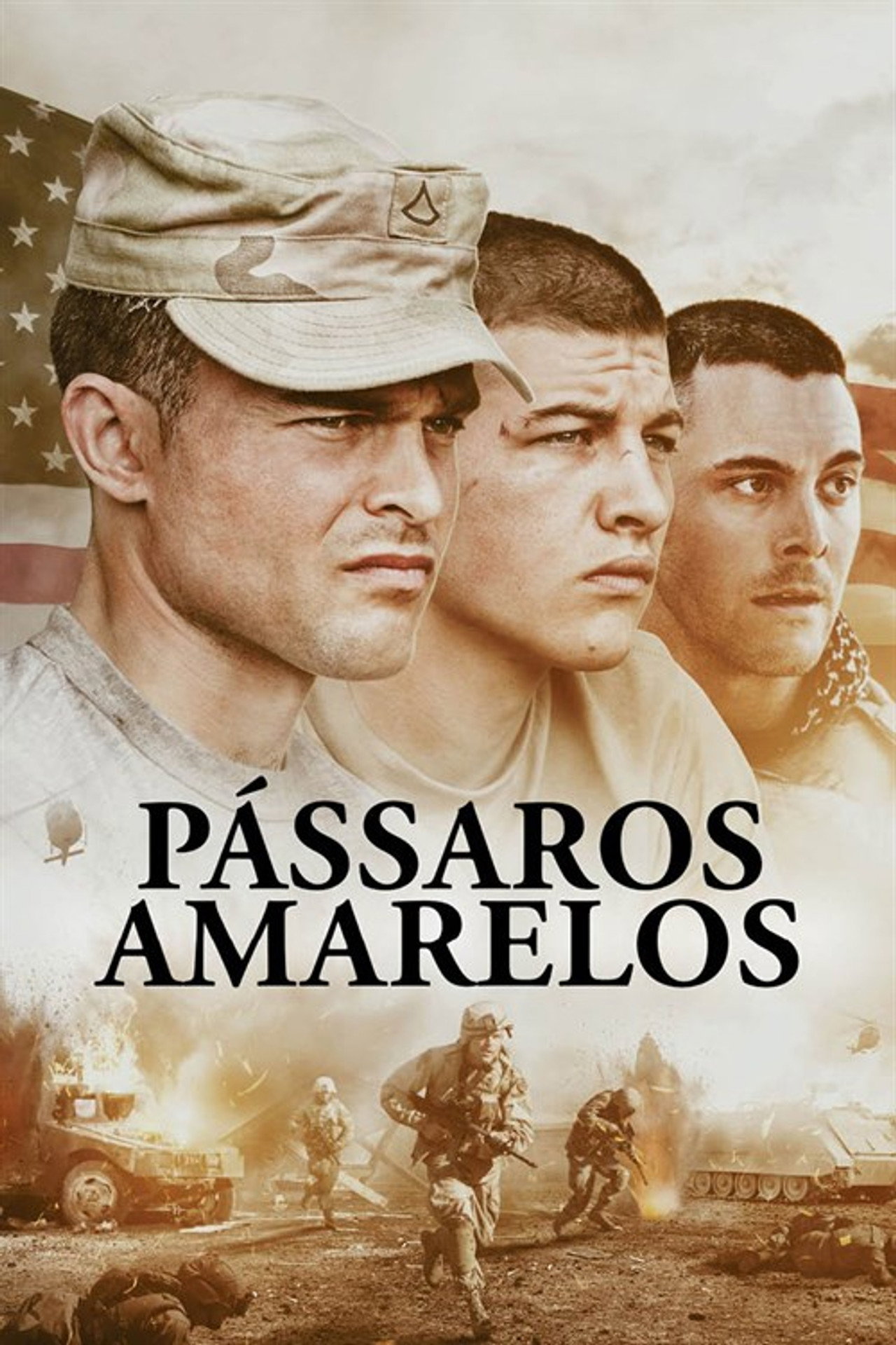 Pôster de Pássaros Amarelos