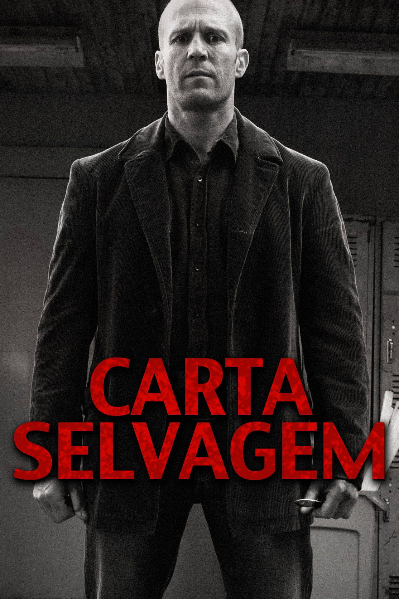 Pôster de Carta Selvagem