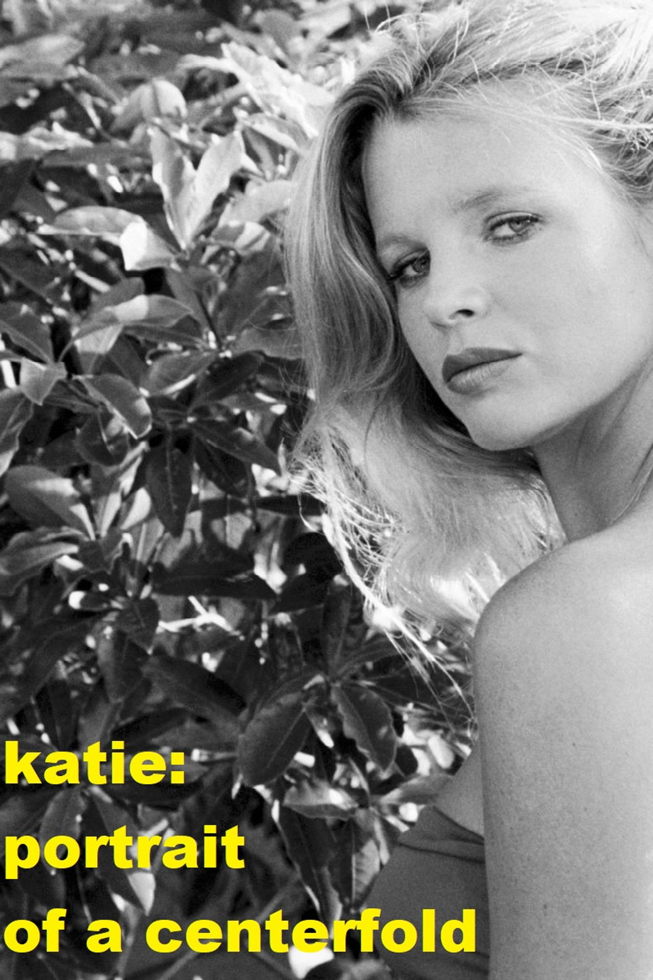 Pôster de Katie: Portrait of a Centerfold