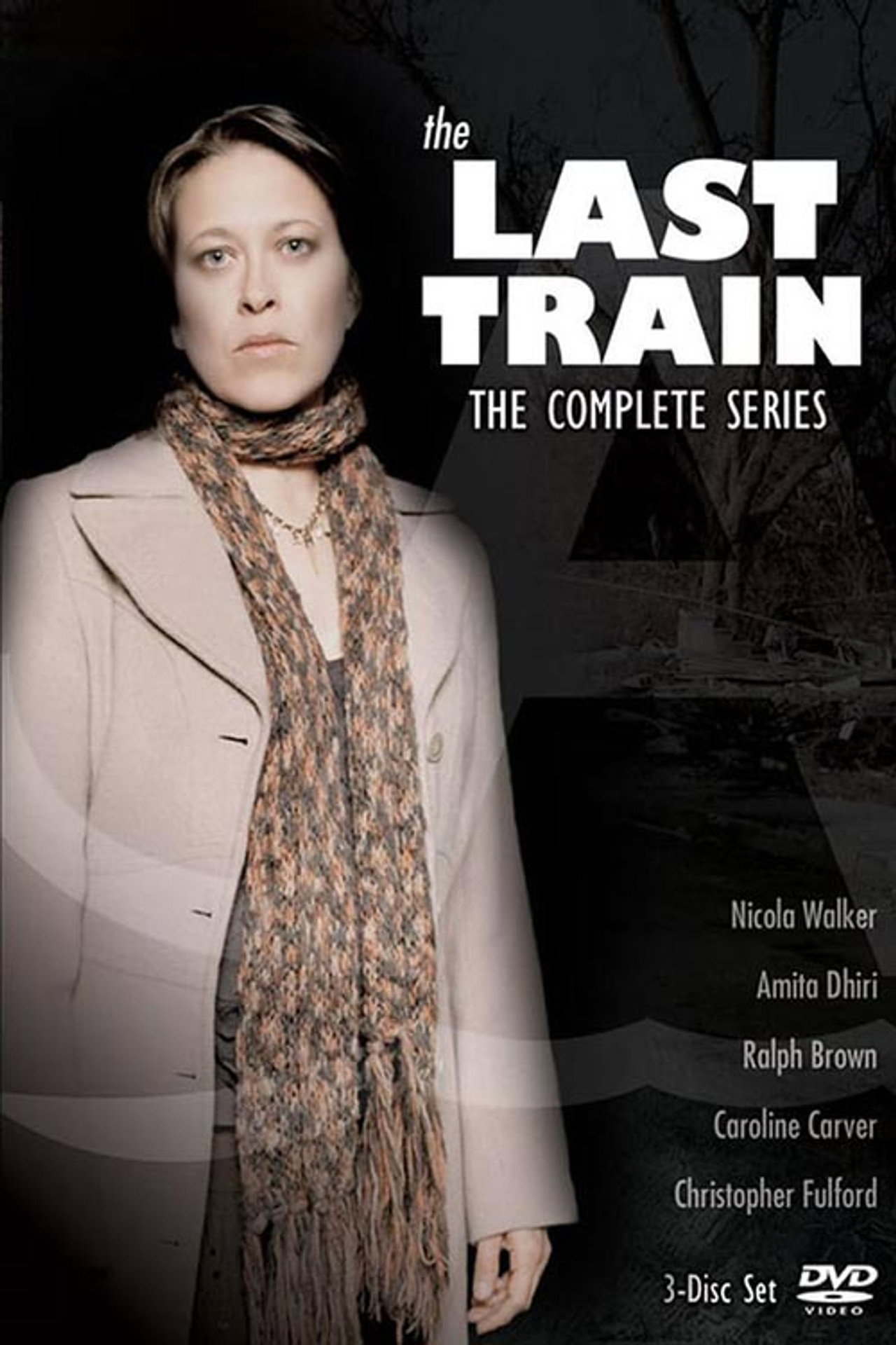 Pôster de The Last Train