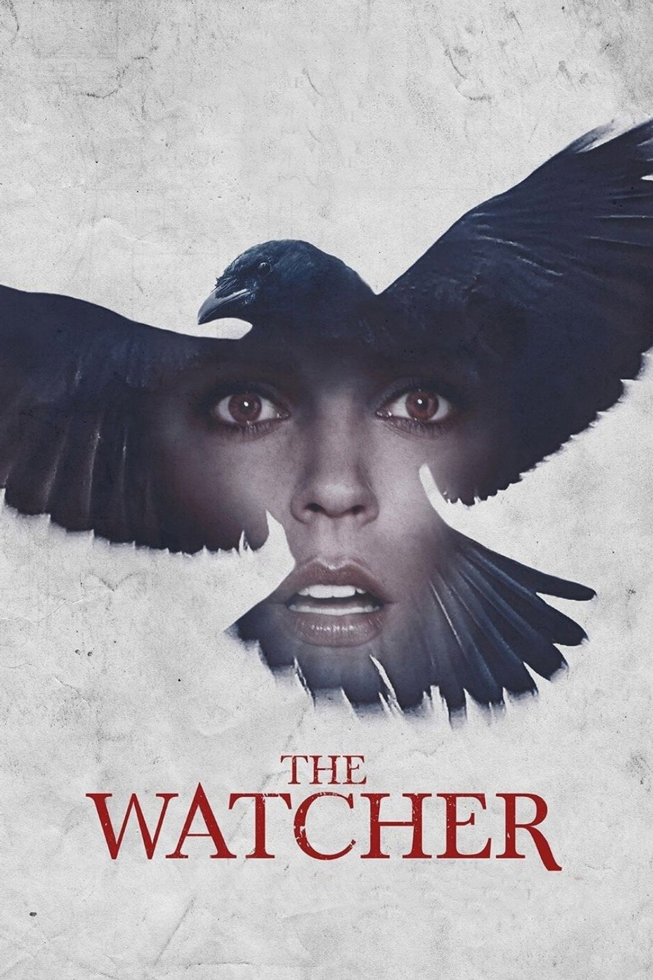Pôster de The Watcher