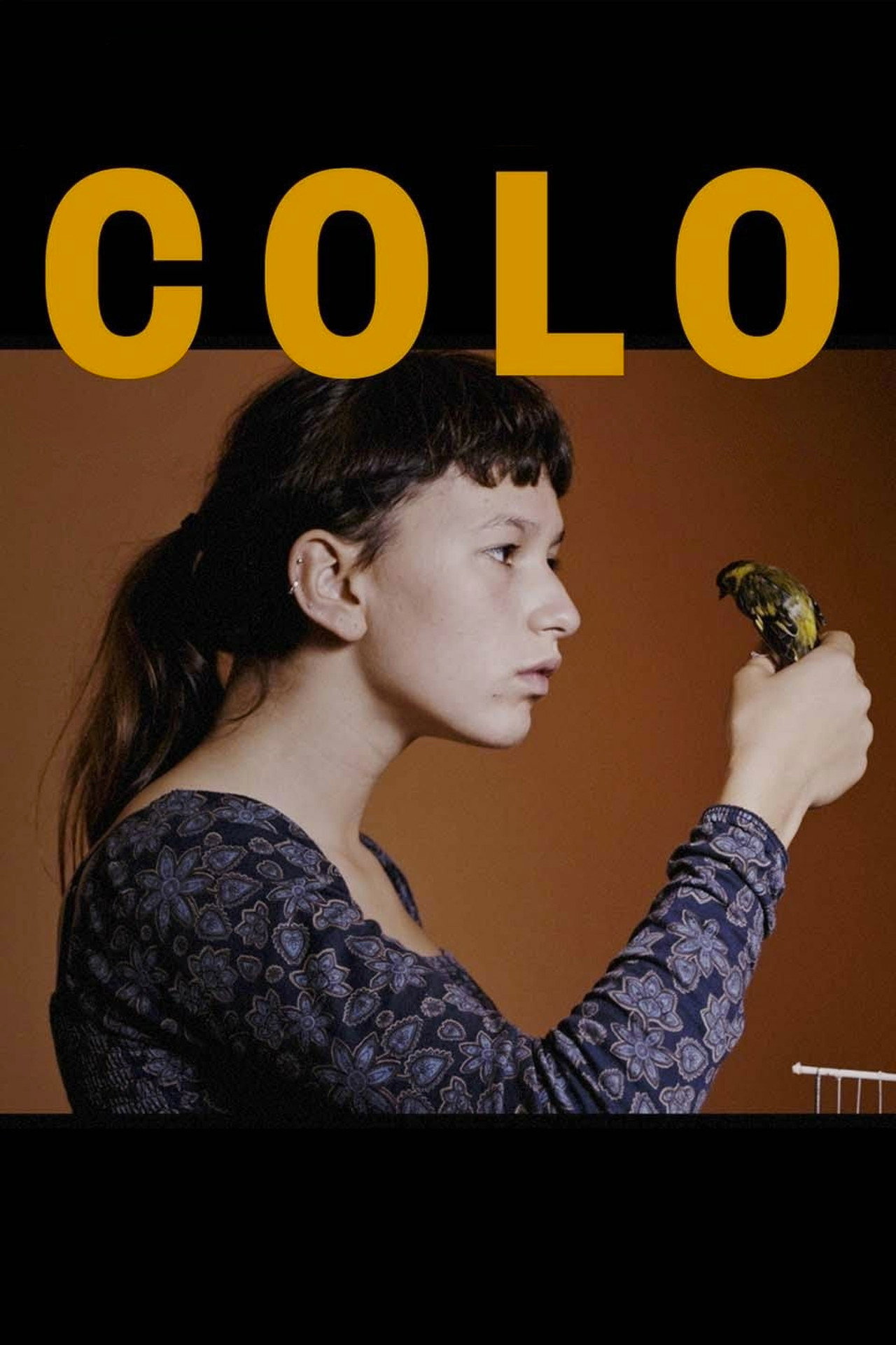 Pôster de Colo