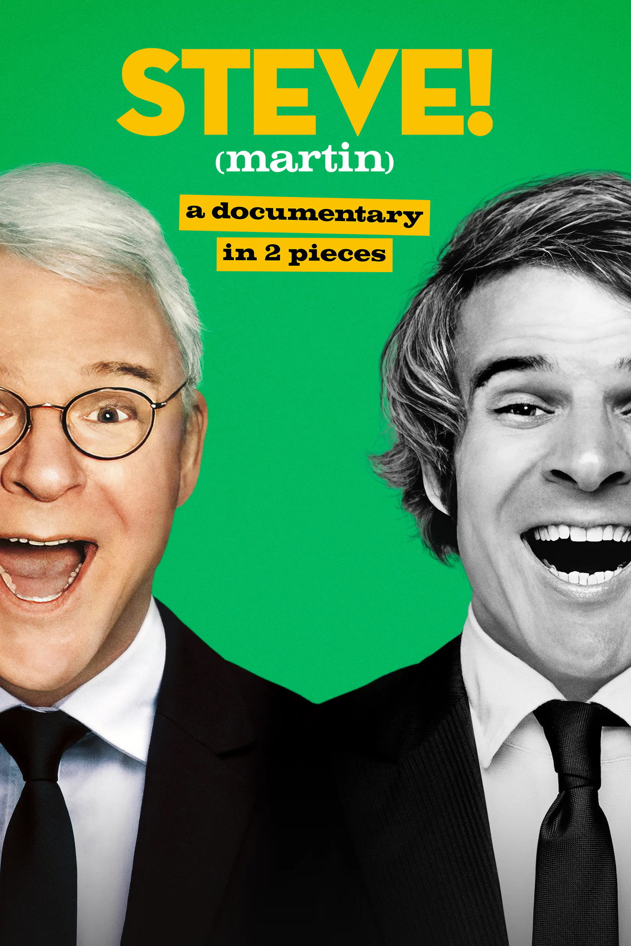 Pôster de STEVE! (martin) a documentary in 2 pieces