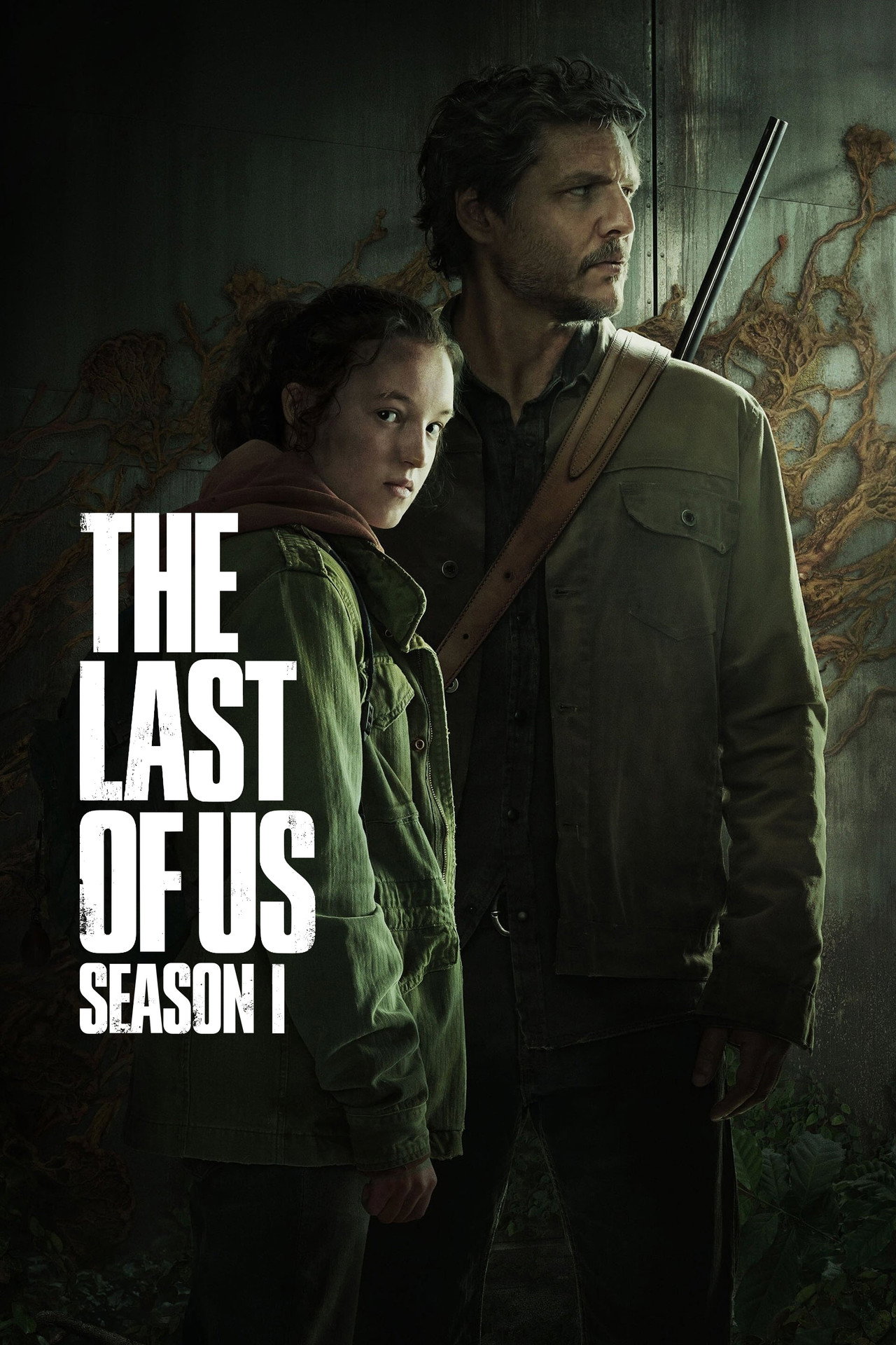 Pôster de The Last of Us