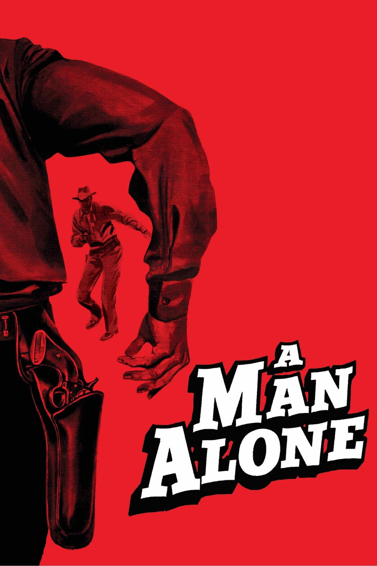 Pôster de Um Homem Solitário