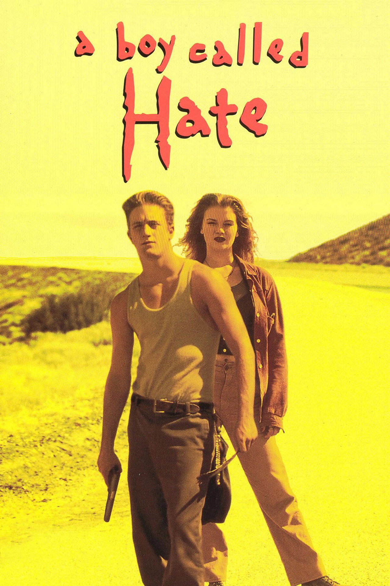Pôster de A Boy Called Hate