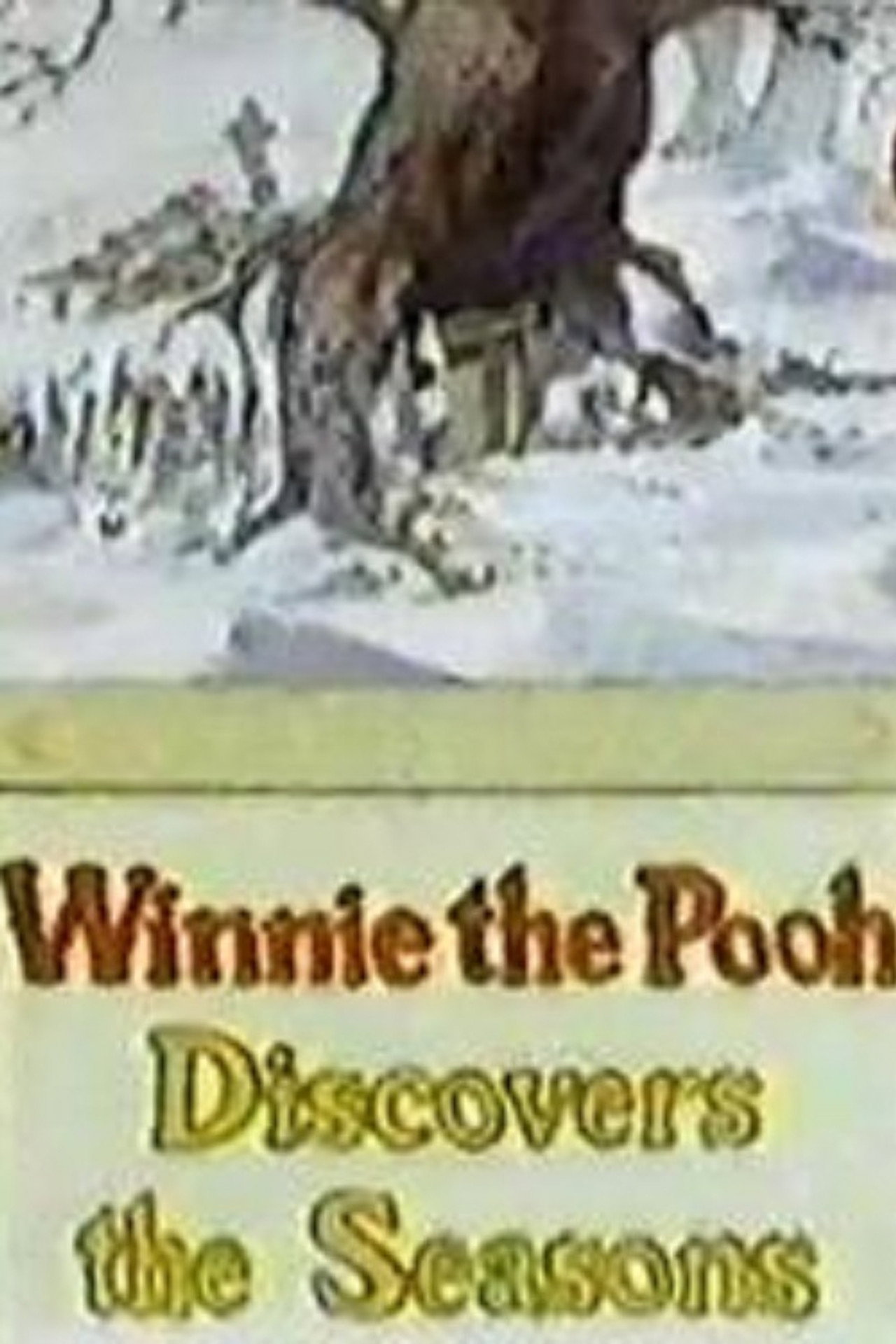Pôster de Winnie the Pooh Discovers the Seasons