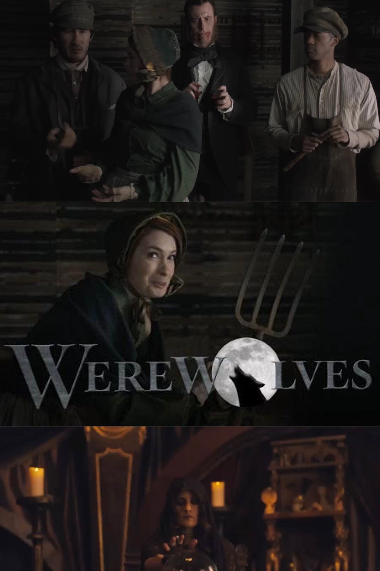 Pôster de Werewolves