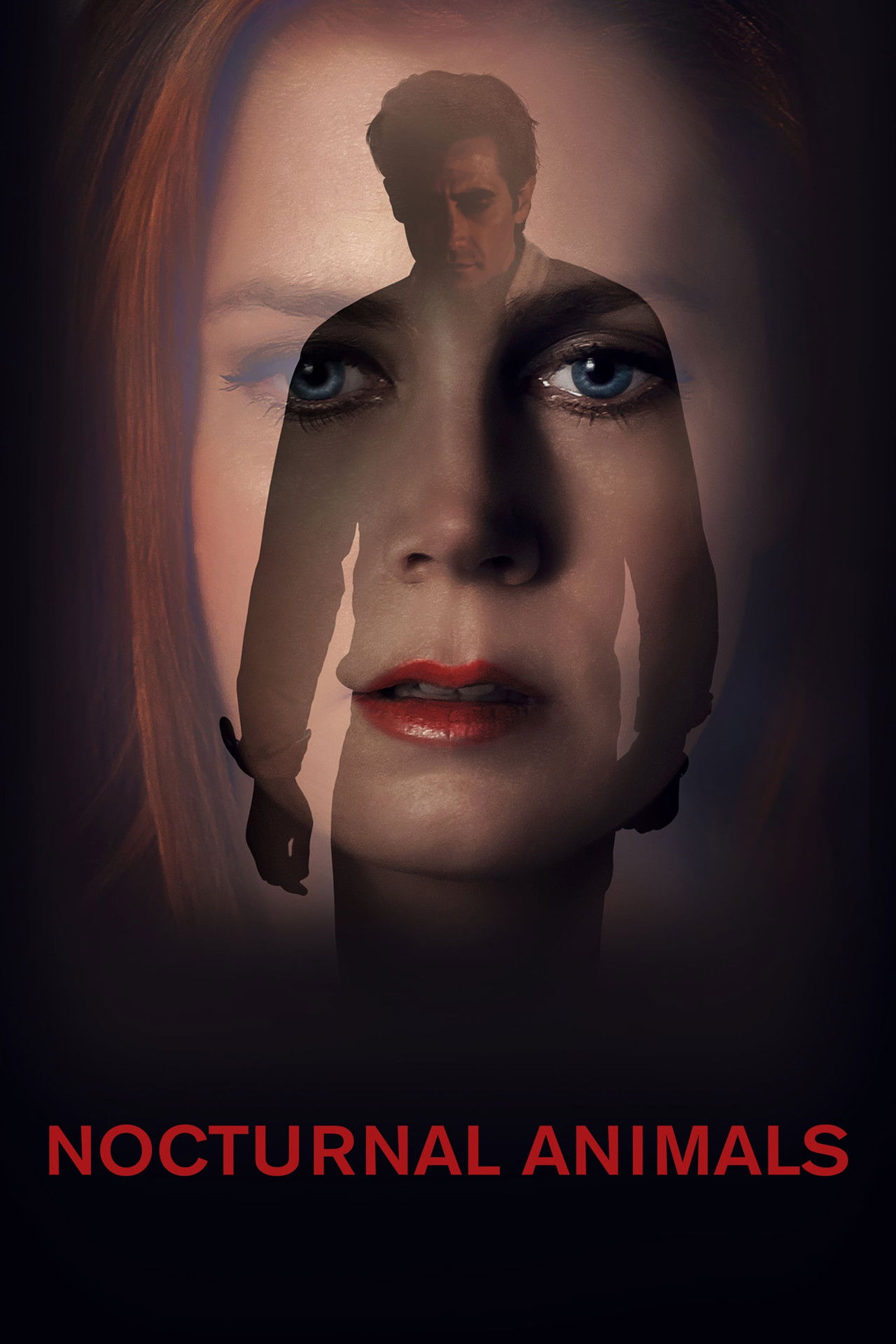 Pôster de Nocturnal Animals