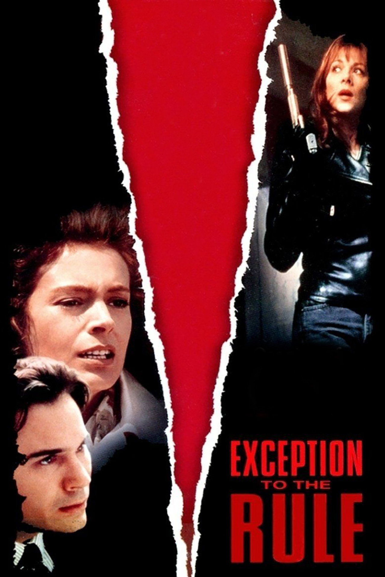 Pôster de Exception to the Rule