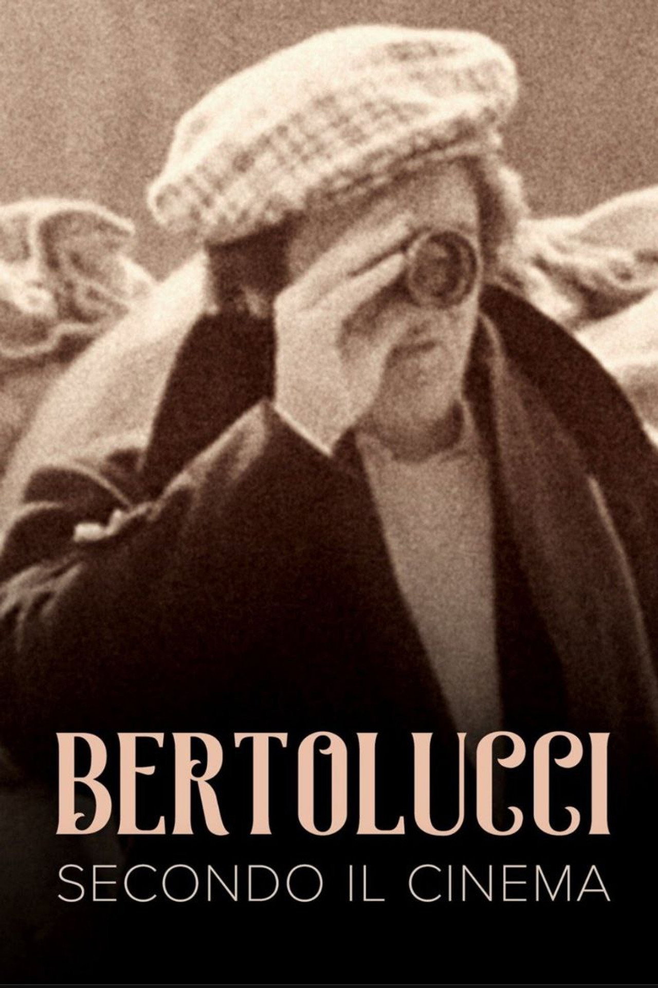Pôster de The Cinema According to Bertolucci