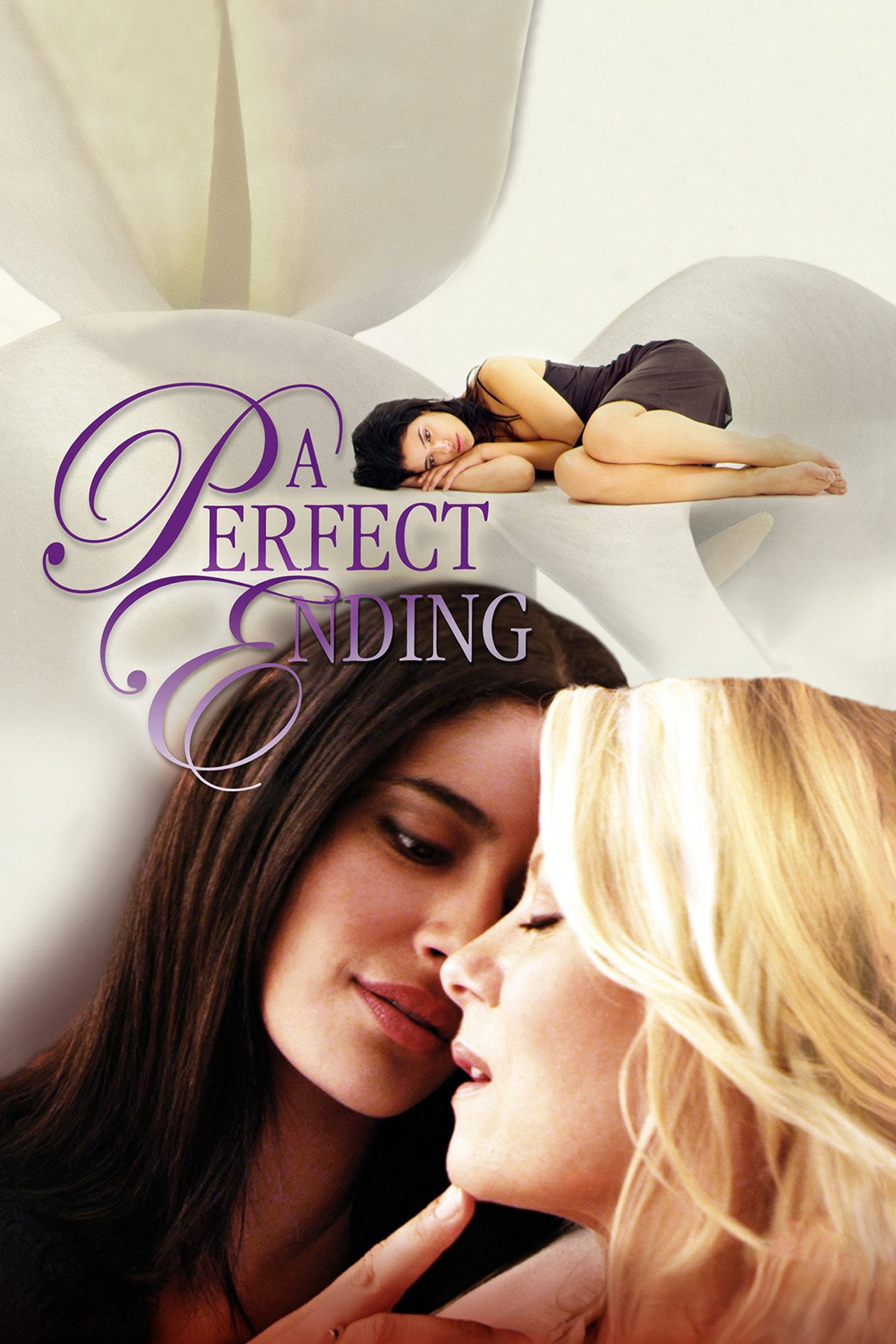 Pôster de A Perfect Ending